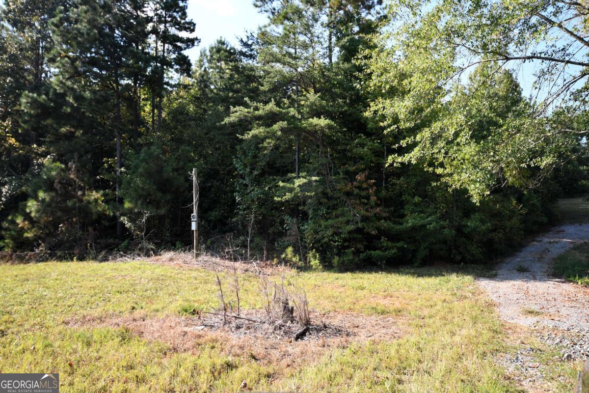 428 Snote Jones Road Property Photo 22