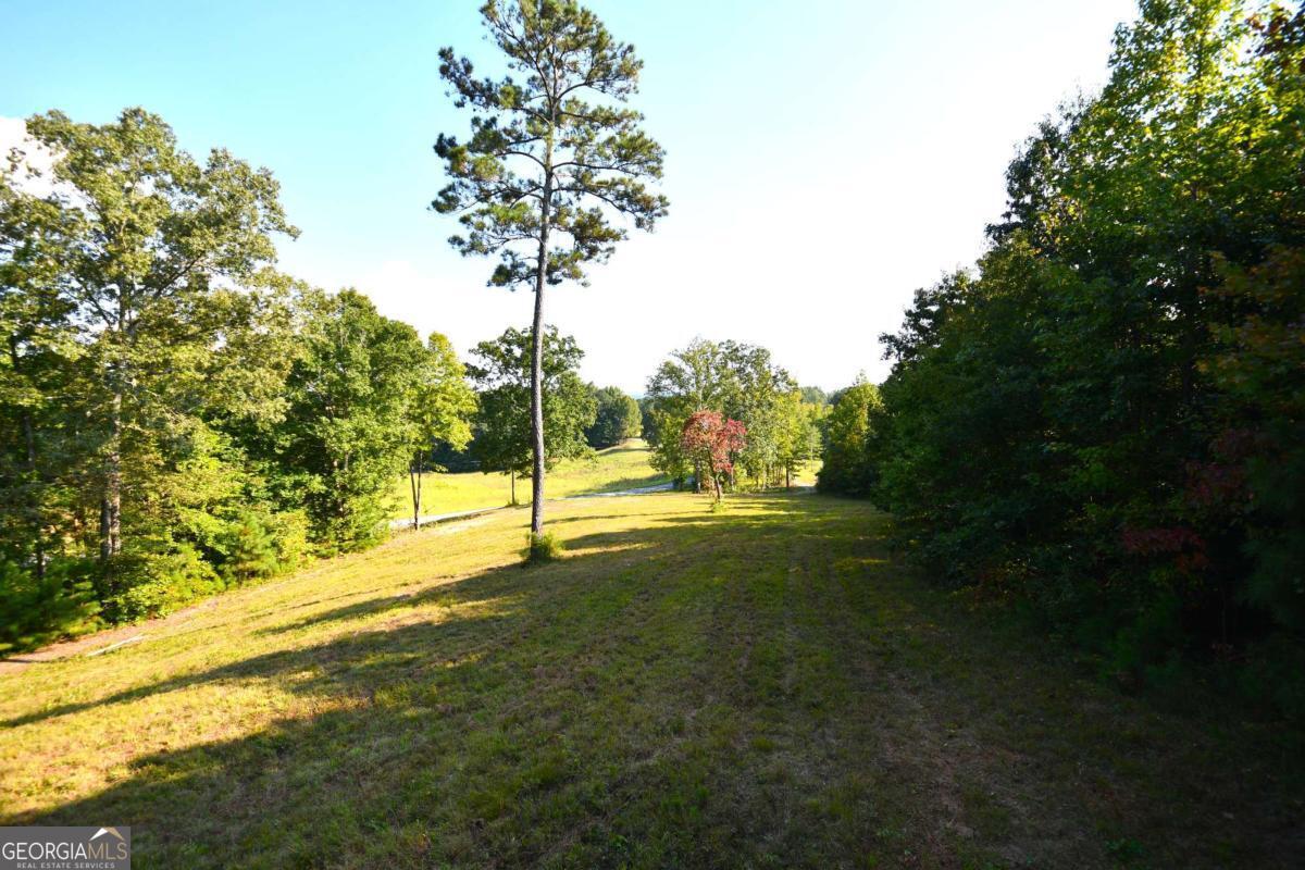 428 Snote Jones Road Property Photo 23