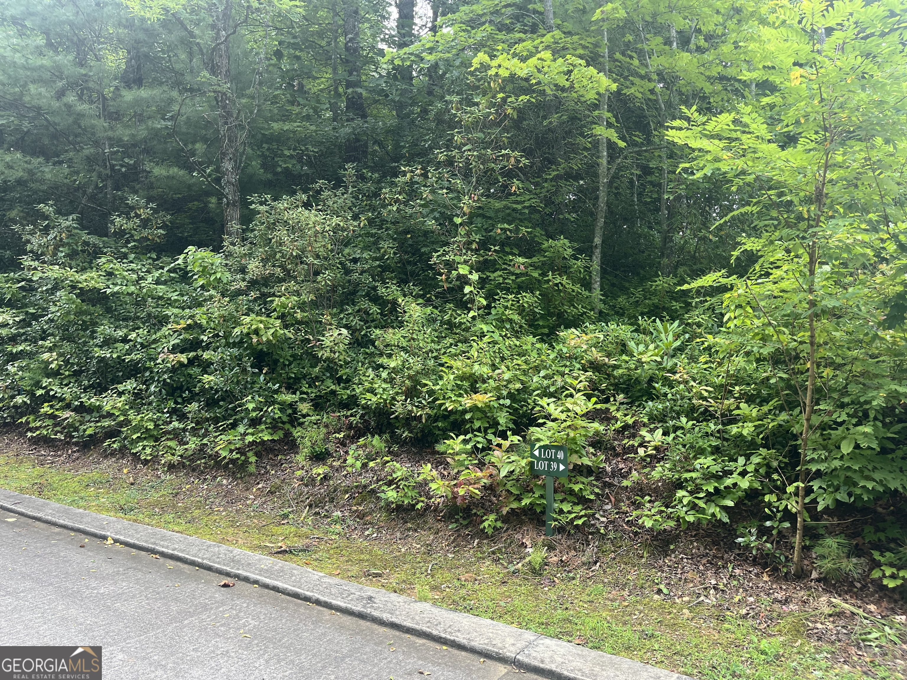 Lot 40 Anderson Drive Property Photo 3