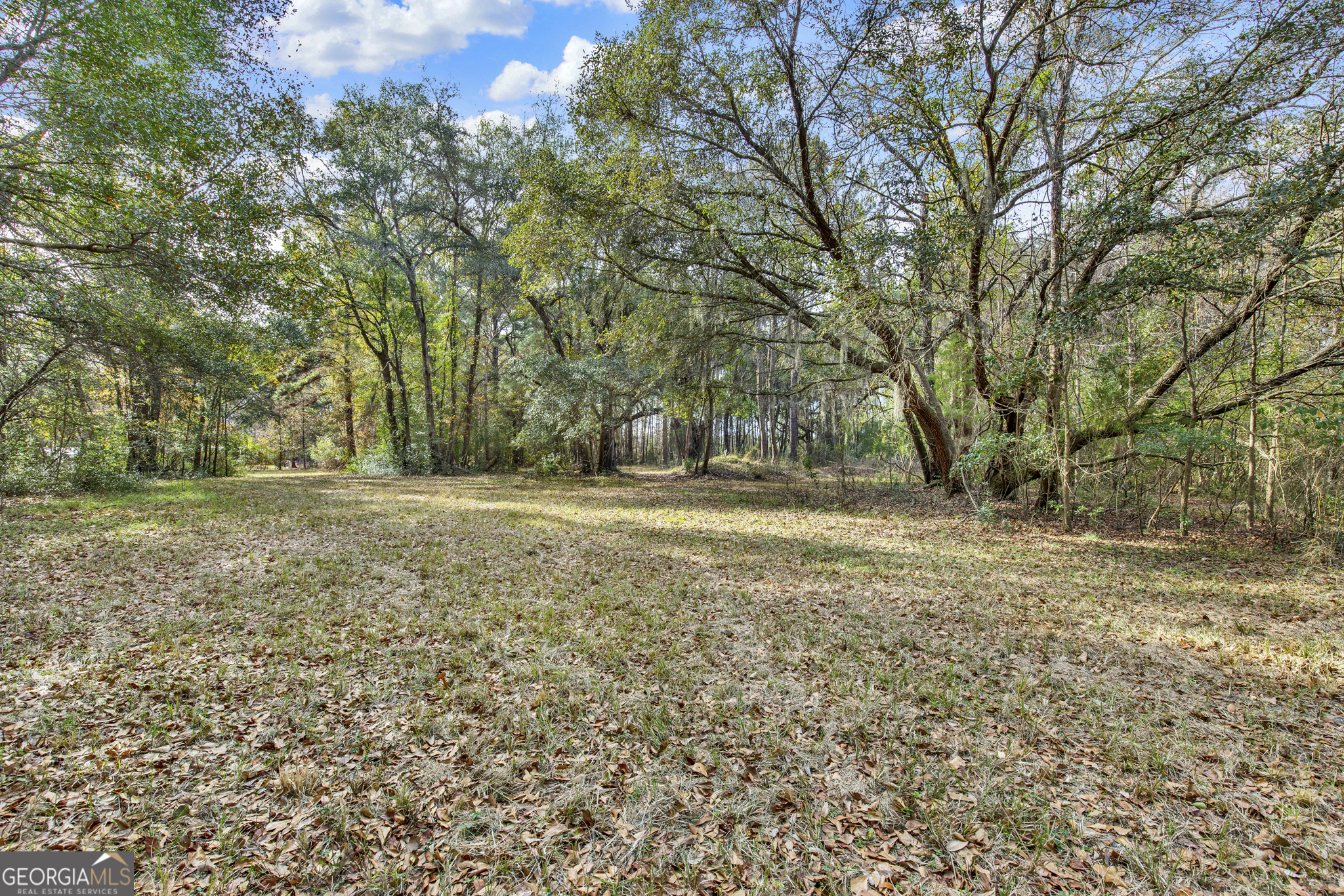 193 Burton Road Property Photo 7