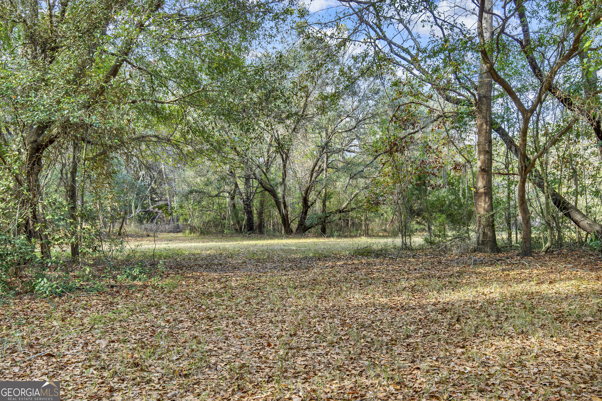 193 Burton Road Property Photo 13