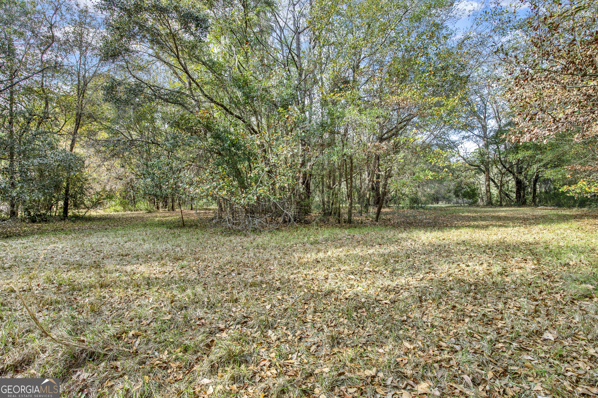193 Burton Road Property Photo 14