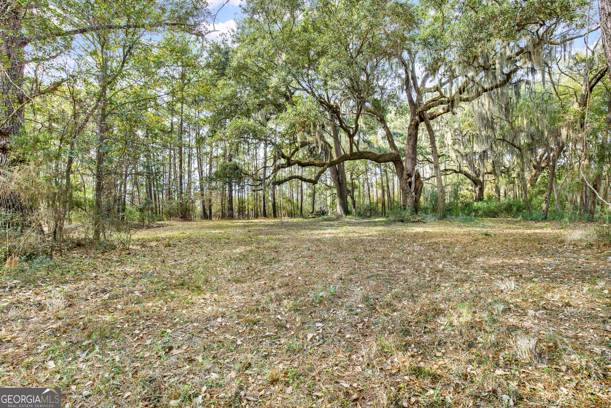 193 Burton Road Property Photo 16