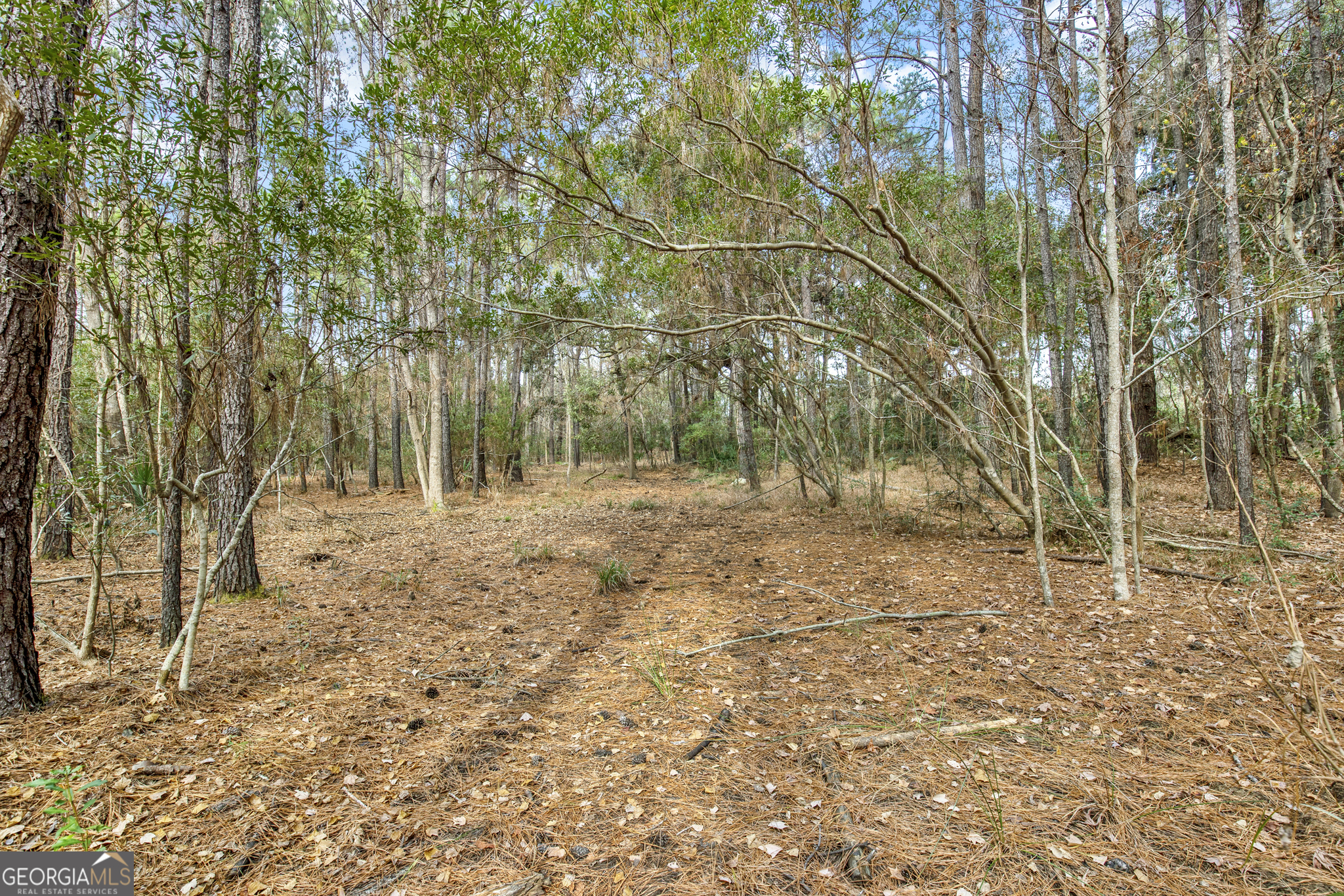 193 Burton Road Property Photo 19