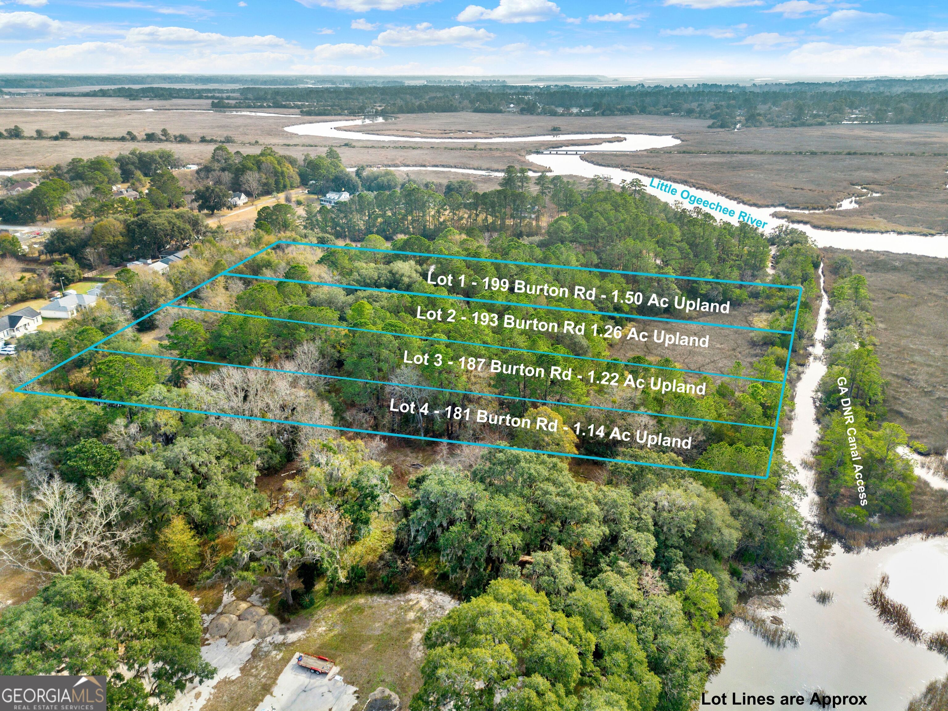 181 Burton Road Property Photo 5