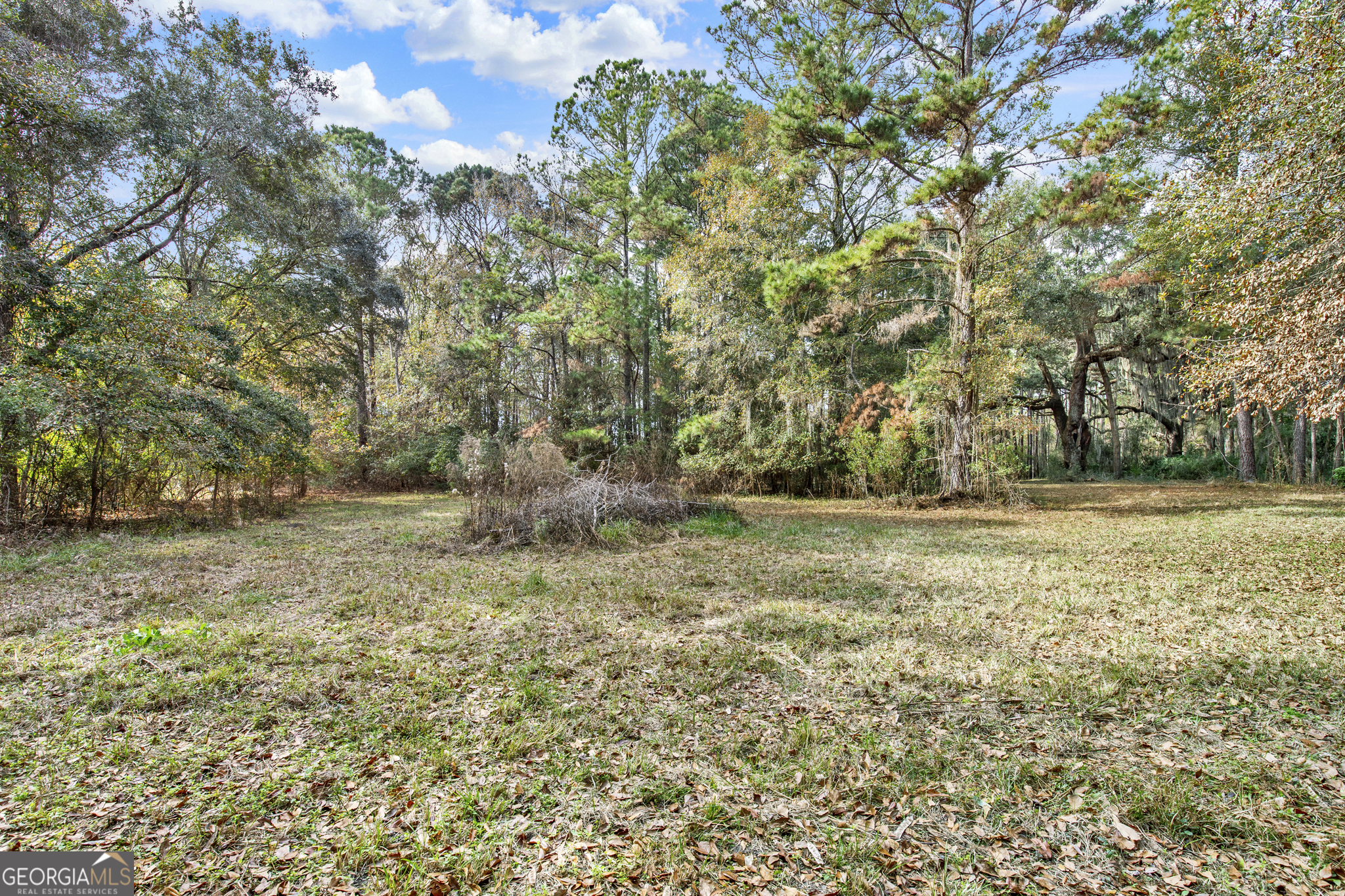 181 Burton Road Property Photo 28