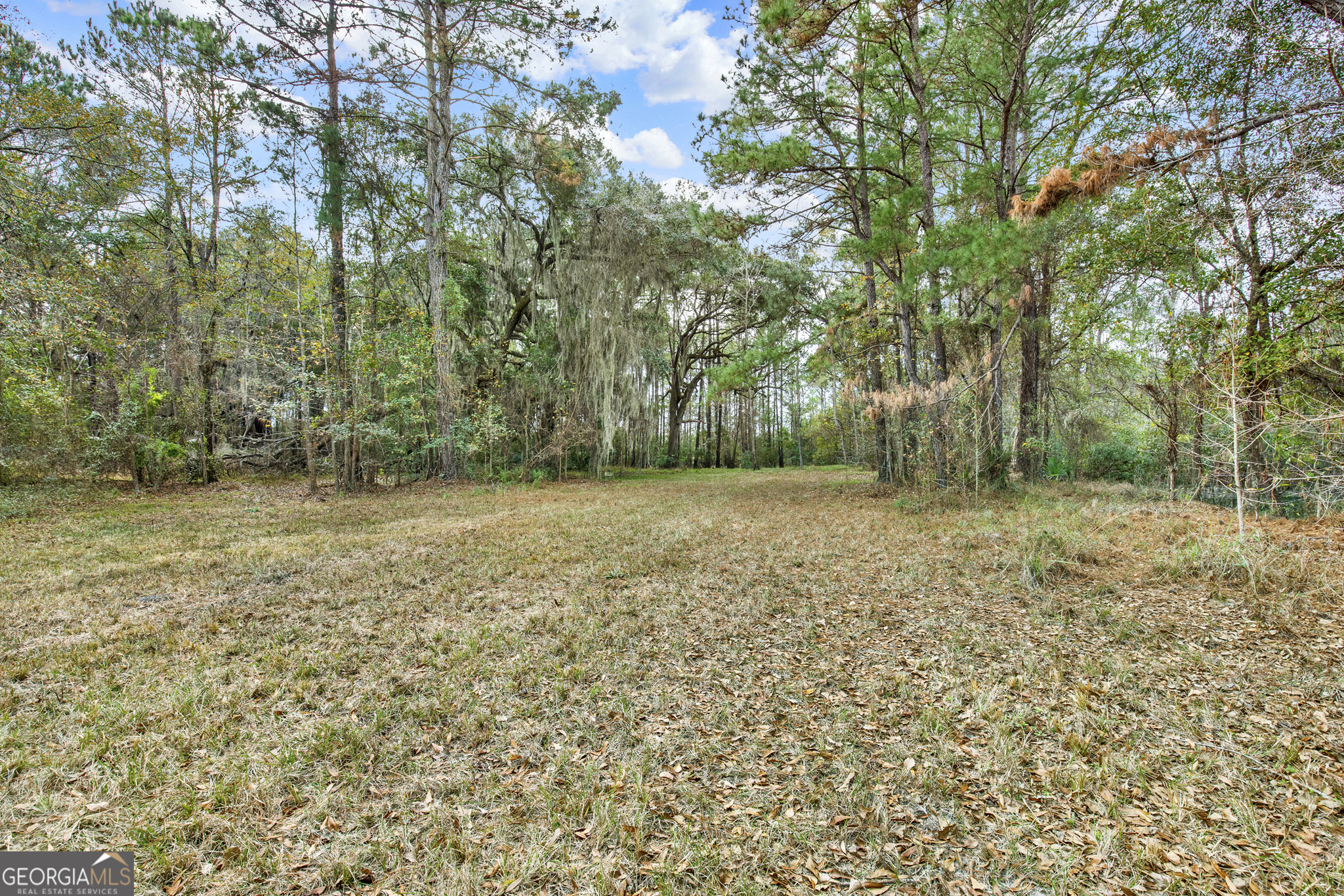 181 Burton Road Property Photo 31