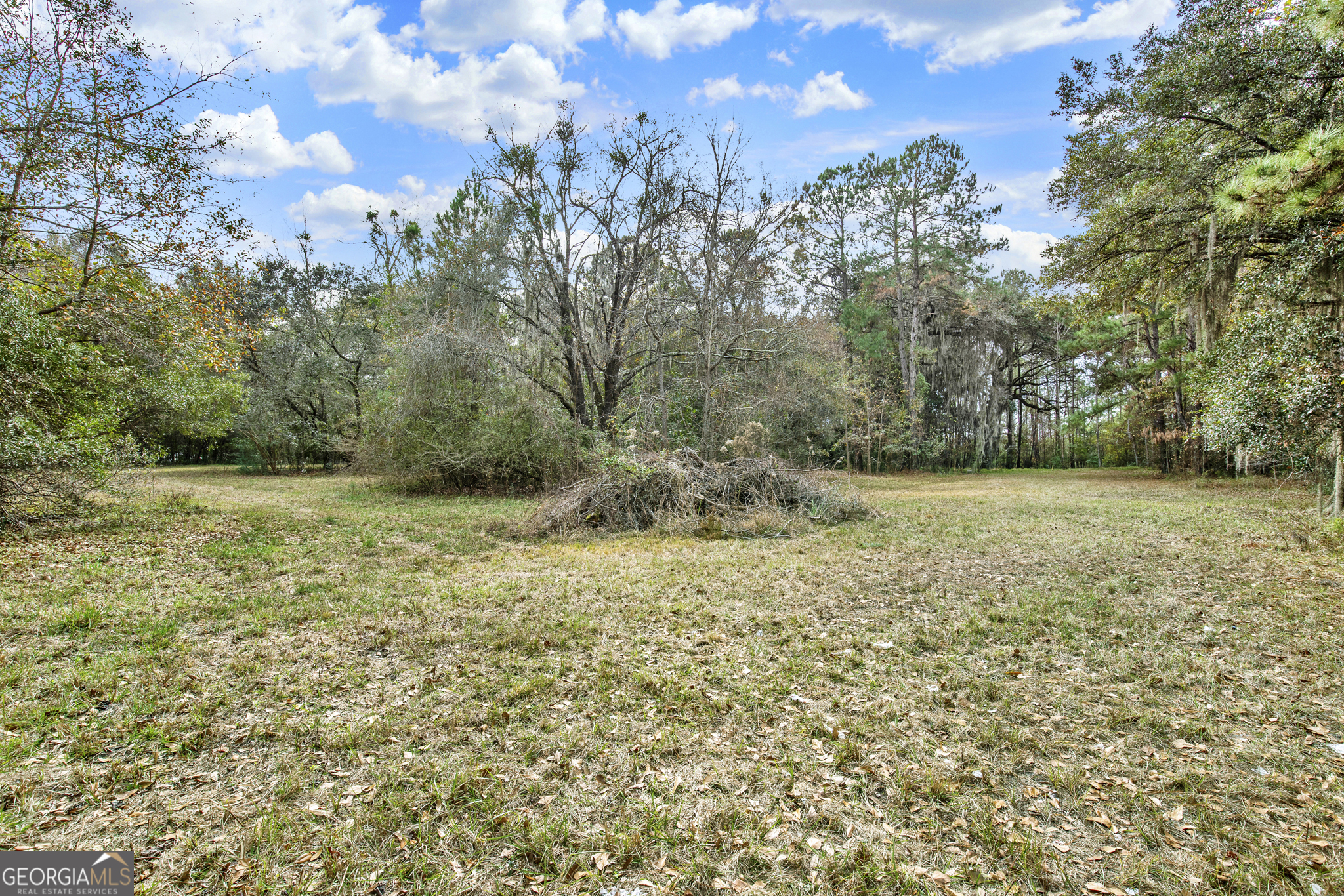 181 Burton Road Property Photo 32