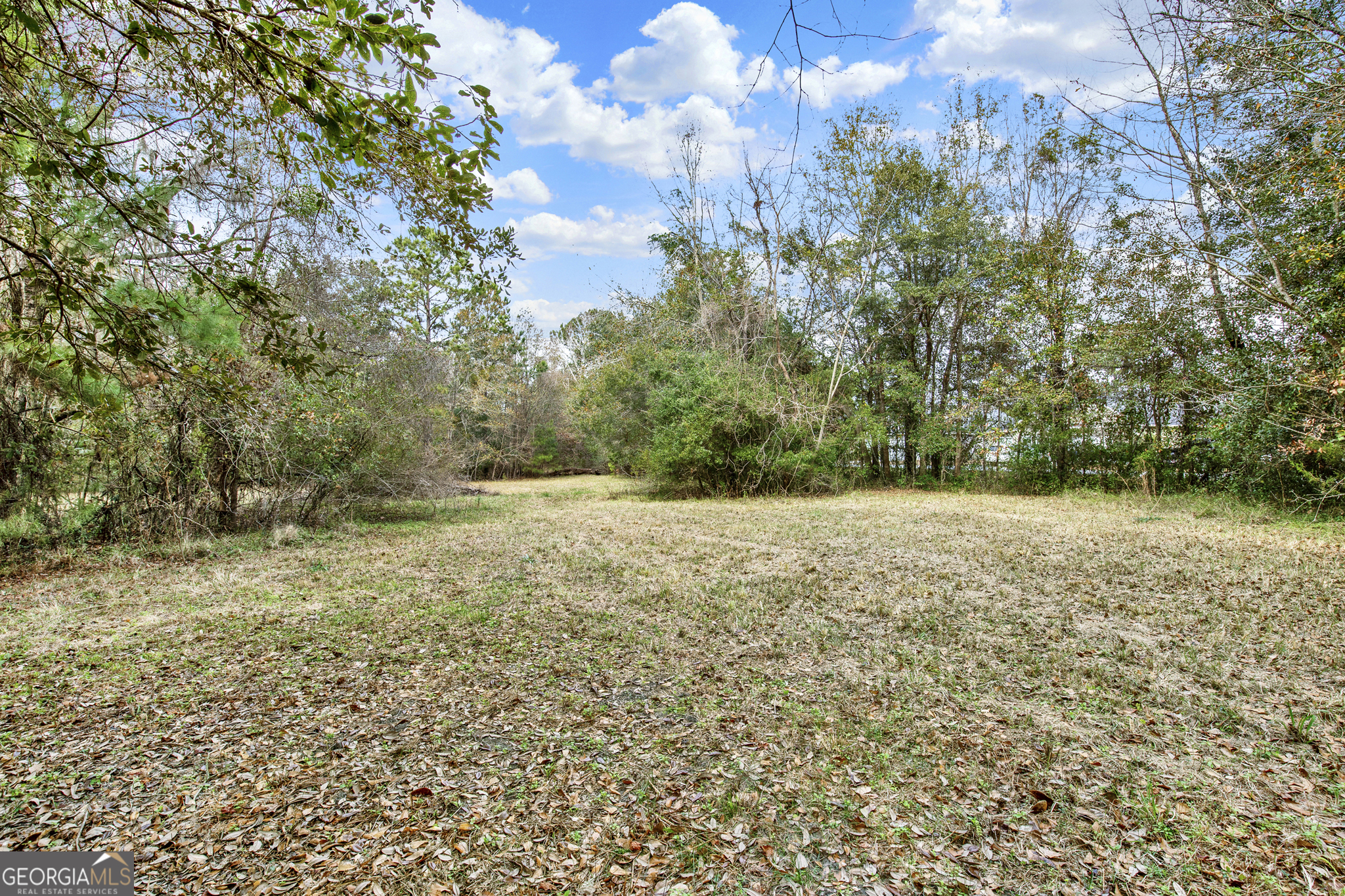 181 Burton Road Property Photo 33