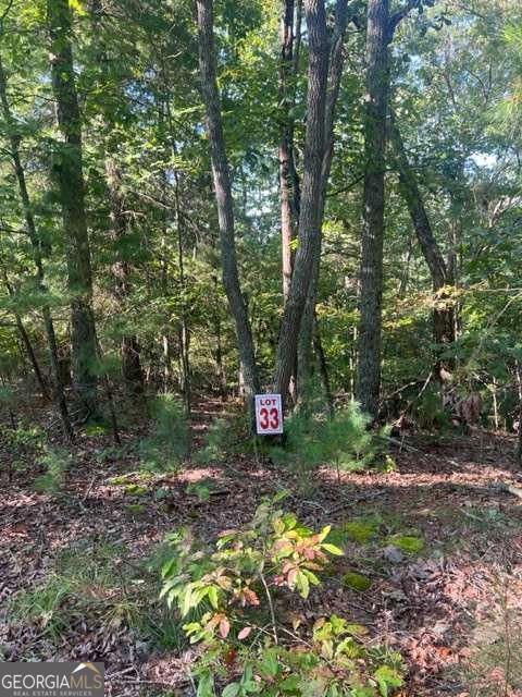 Lt 33 Buck Creek Road Property Photo 5