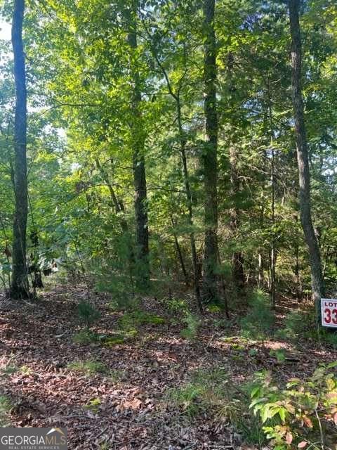 Lt 33 Buck Creek Road Property Photo 6