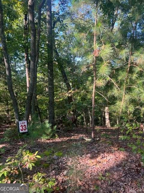 Lt 33 Buck Creek Road Property Photo 7