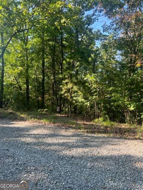 Lt 33 Buck Creek Road Property Photo 8