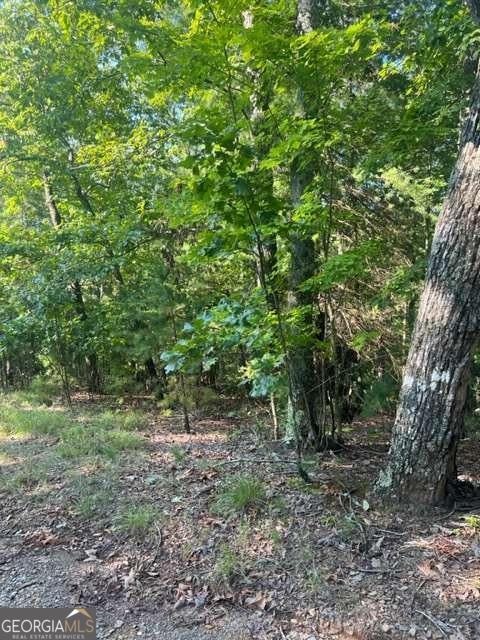 Lt 33 Buck Creek Road Property Photo 10