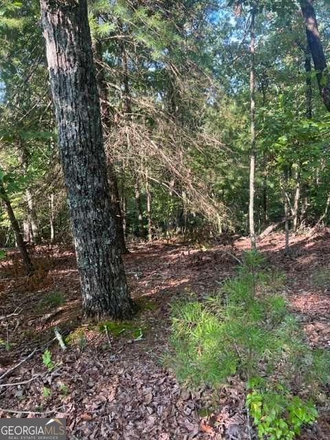 Lt 33 Buck Creek Road Property Photo 11