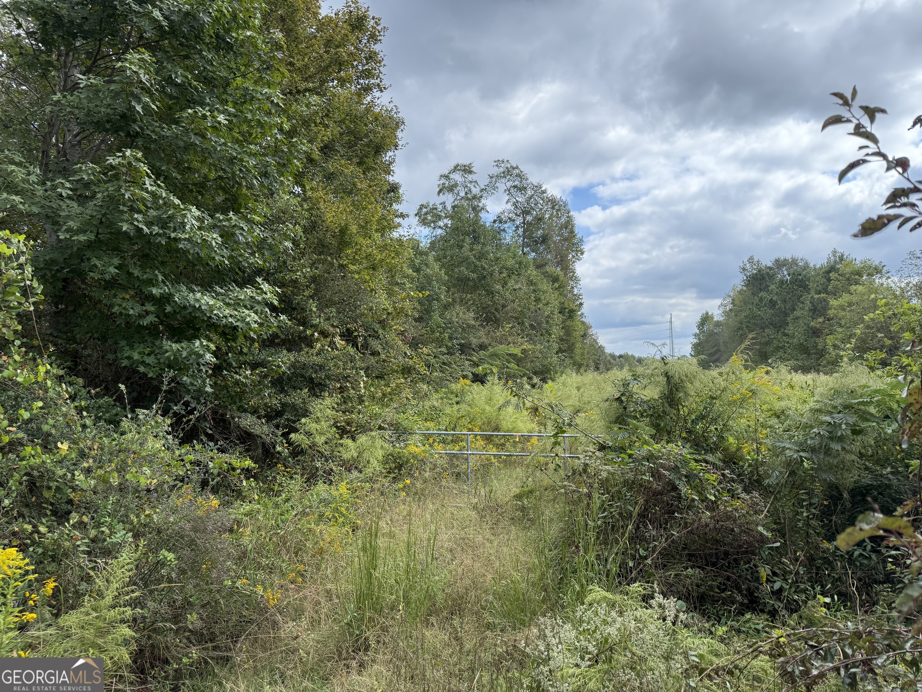 0 Magnolia Avenue Property Photo 1