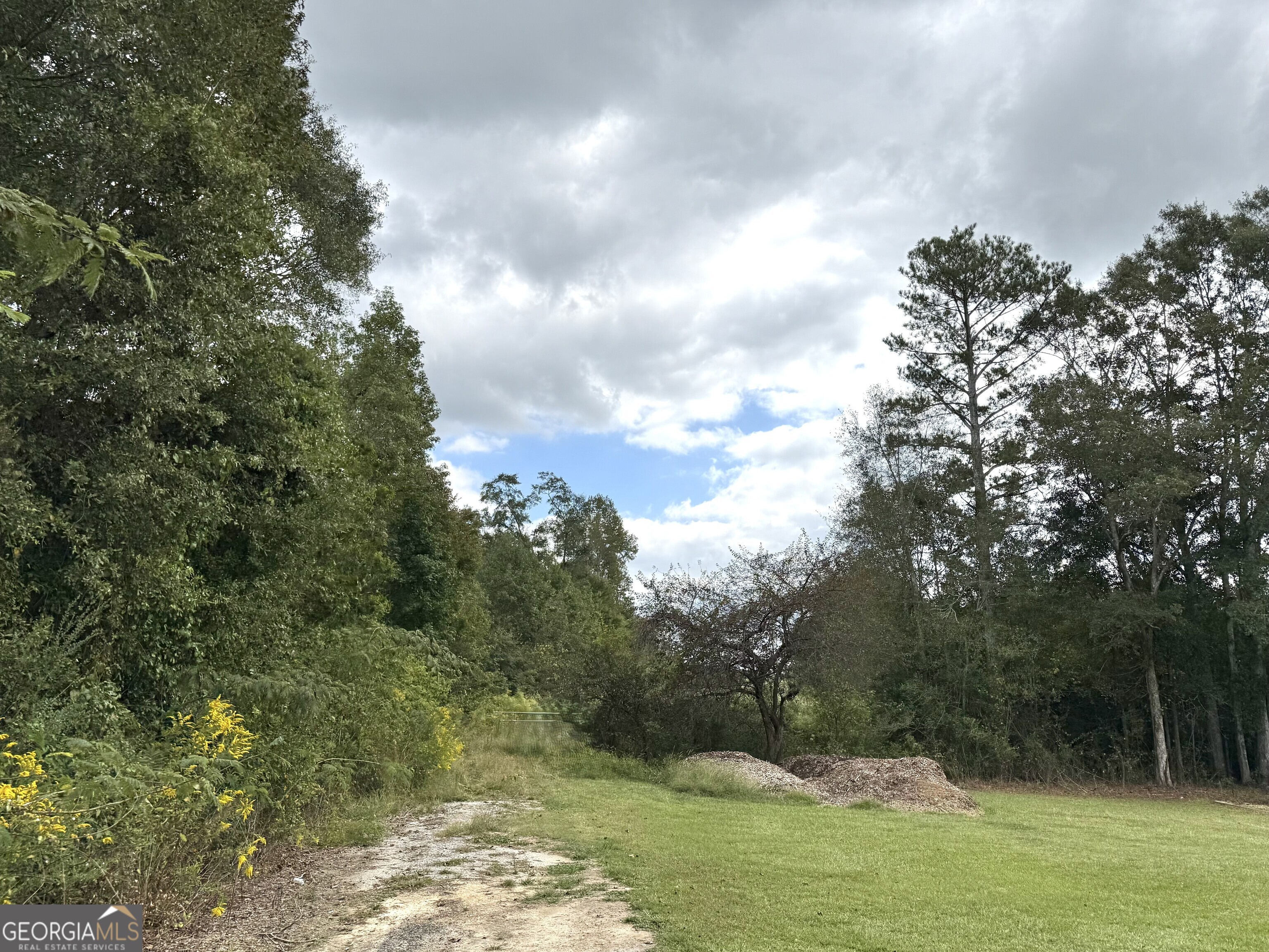 0 Magnolia Avenue Property Photo 3