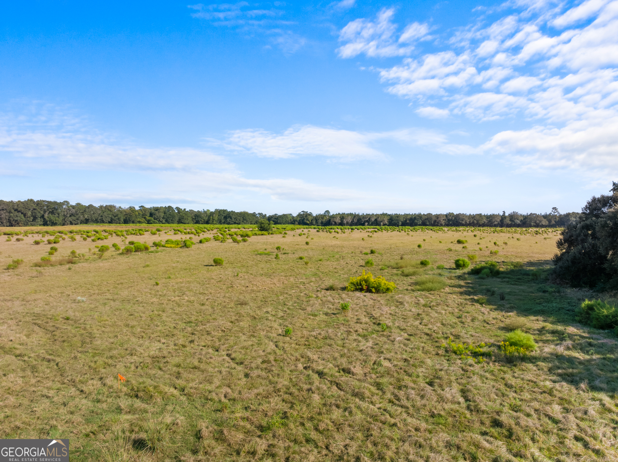0 Shearouse Landing Road Lot 5 Property Photo 5