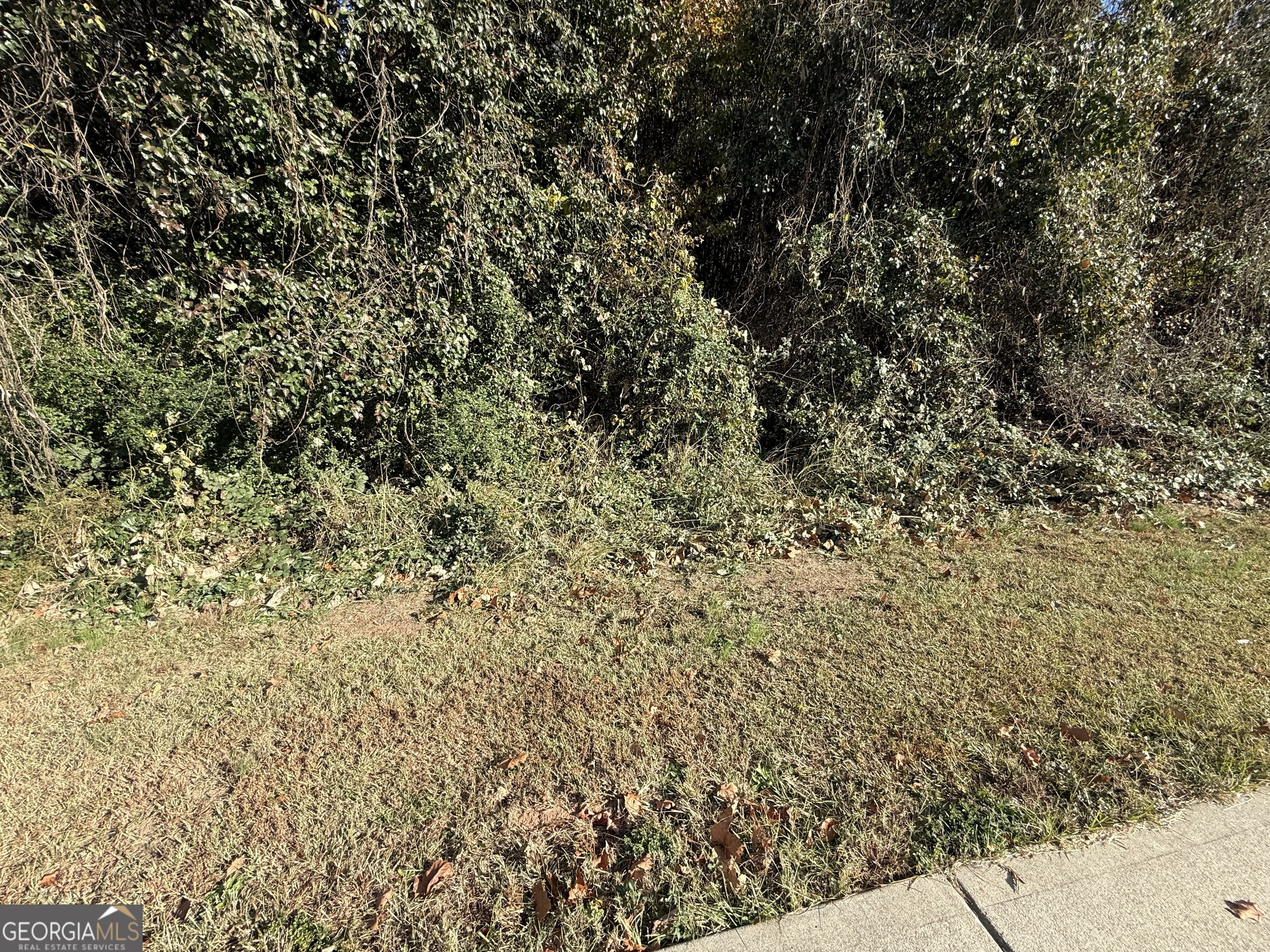 8654 Webb Road Property Photo 4