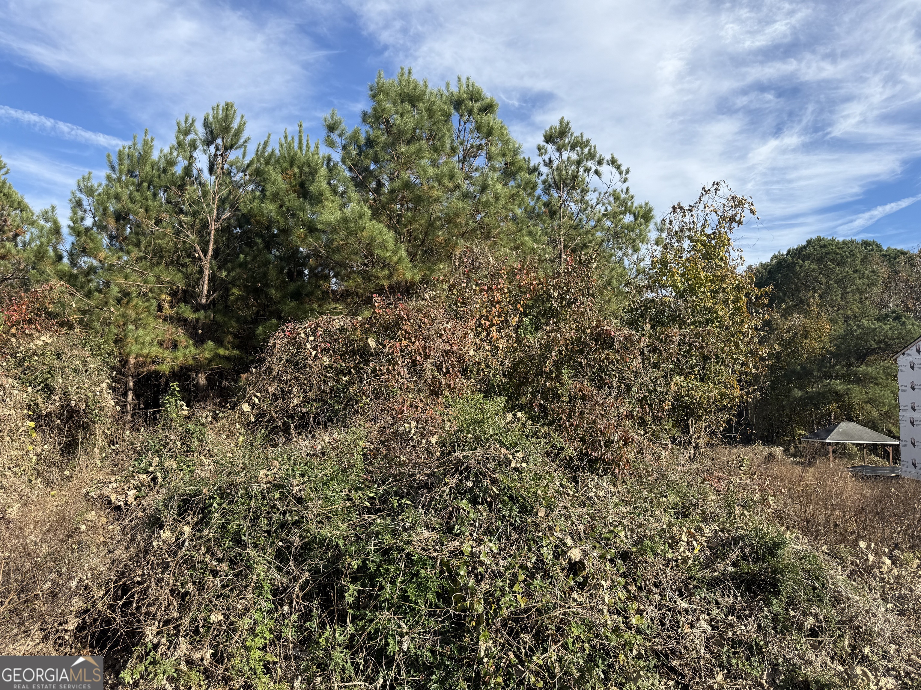 8654 Webb Road Property Photo 5