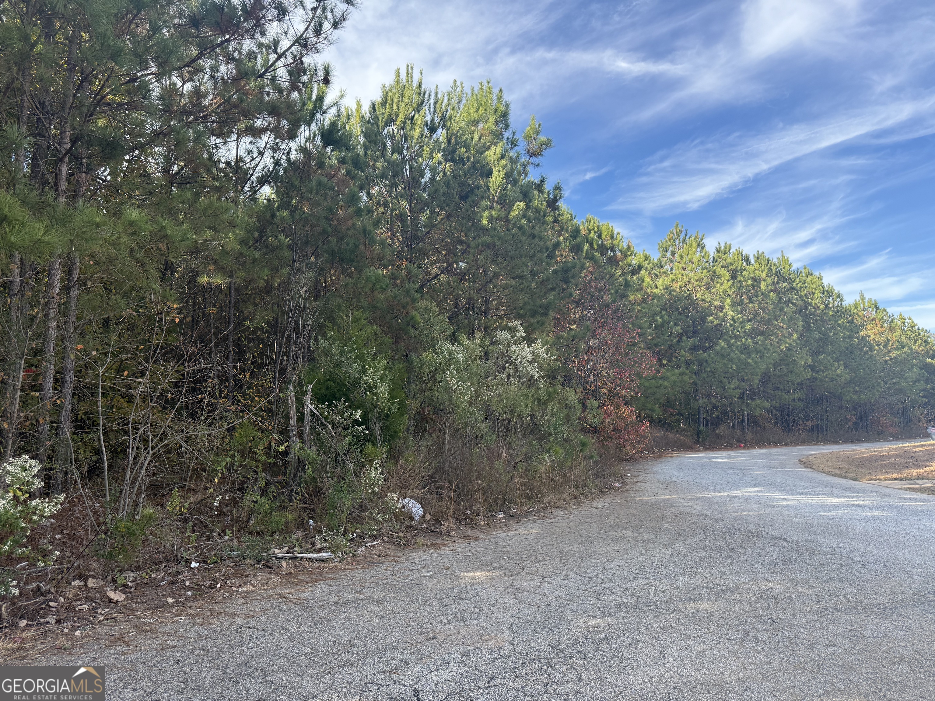 8654 Webb Road Property Photo 6