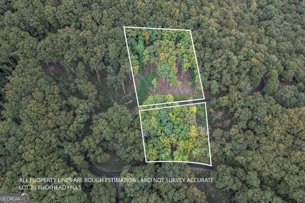 LOT 20 Buckhead Hills Property Photo 1
