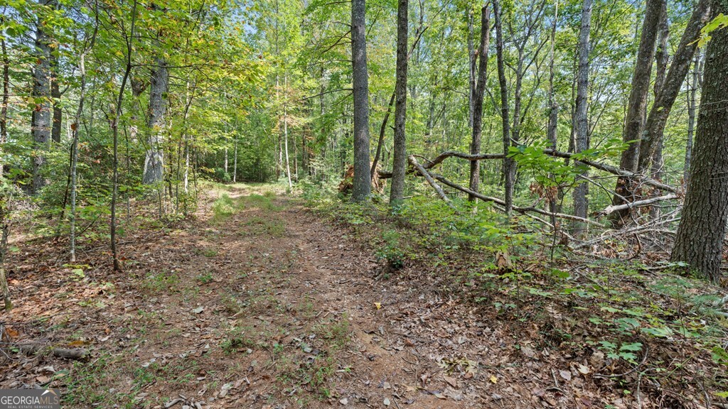 23 C Double Knob Property Photo 10