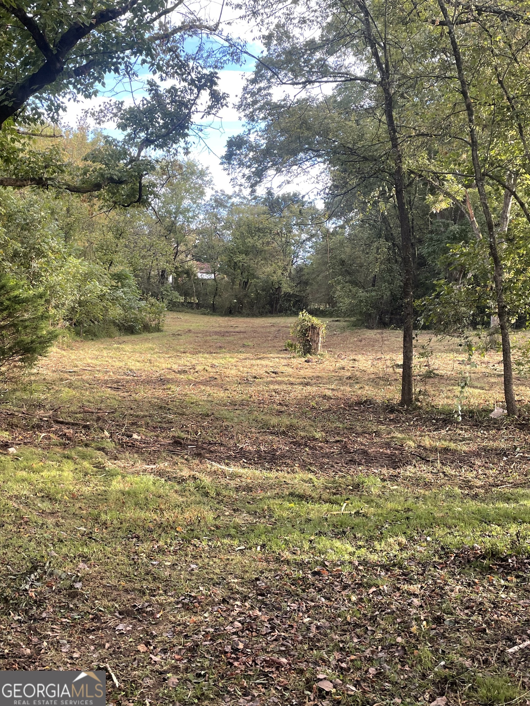 811 Cartersville Highway Property Photo 13
