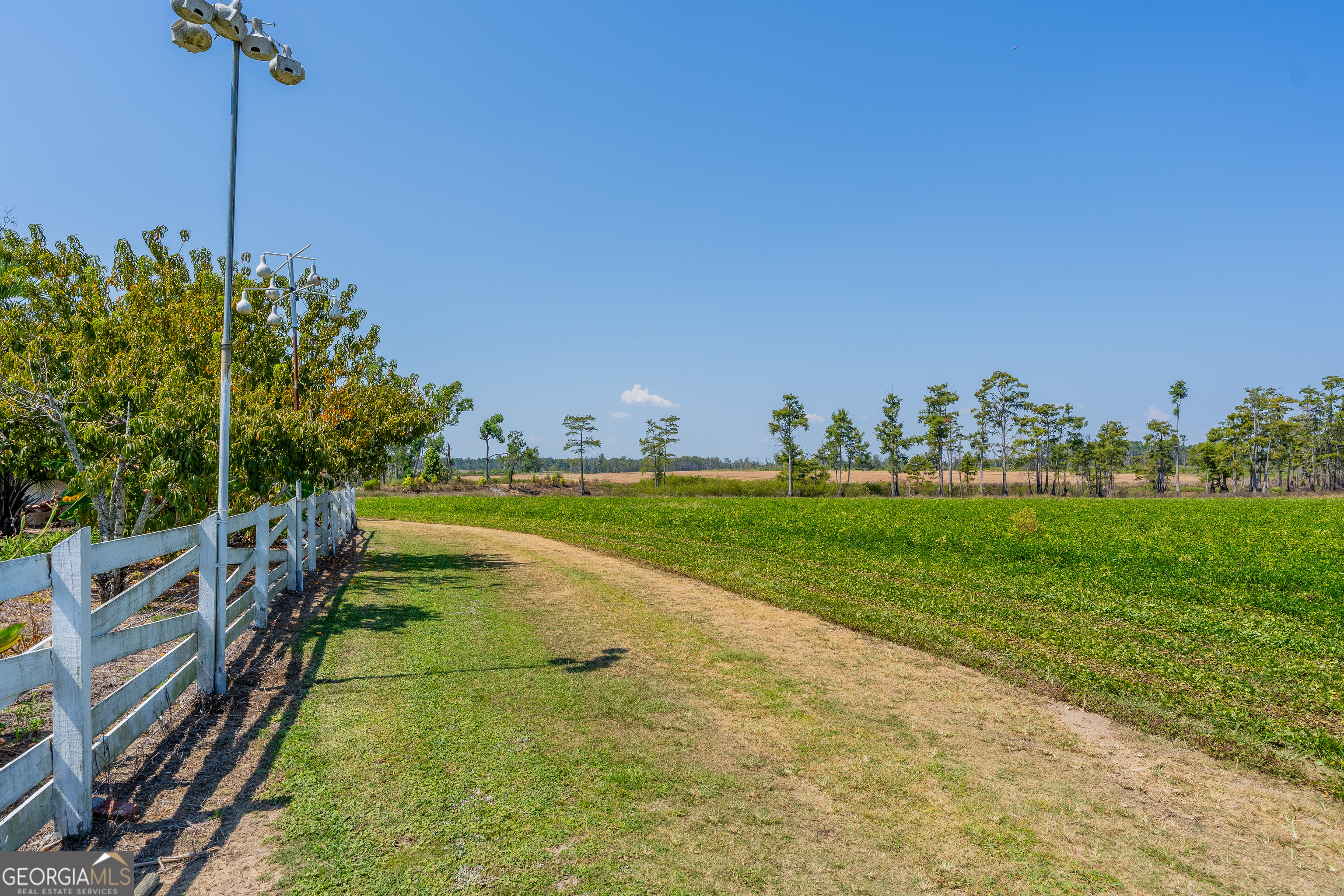 1671 Warren Carter Road Property Photo 14