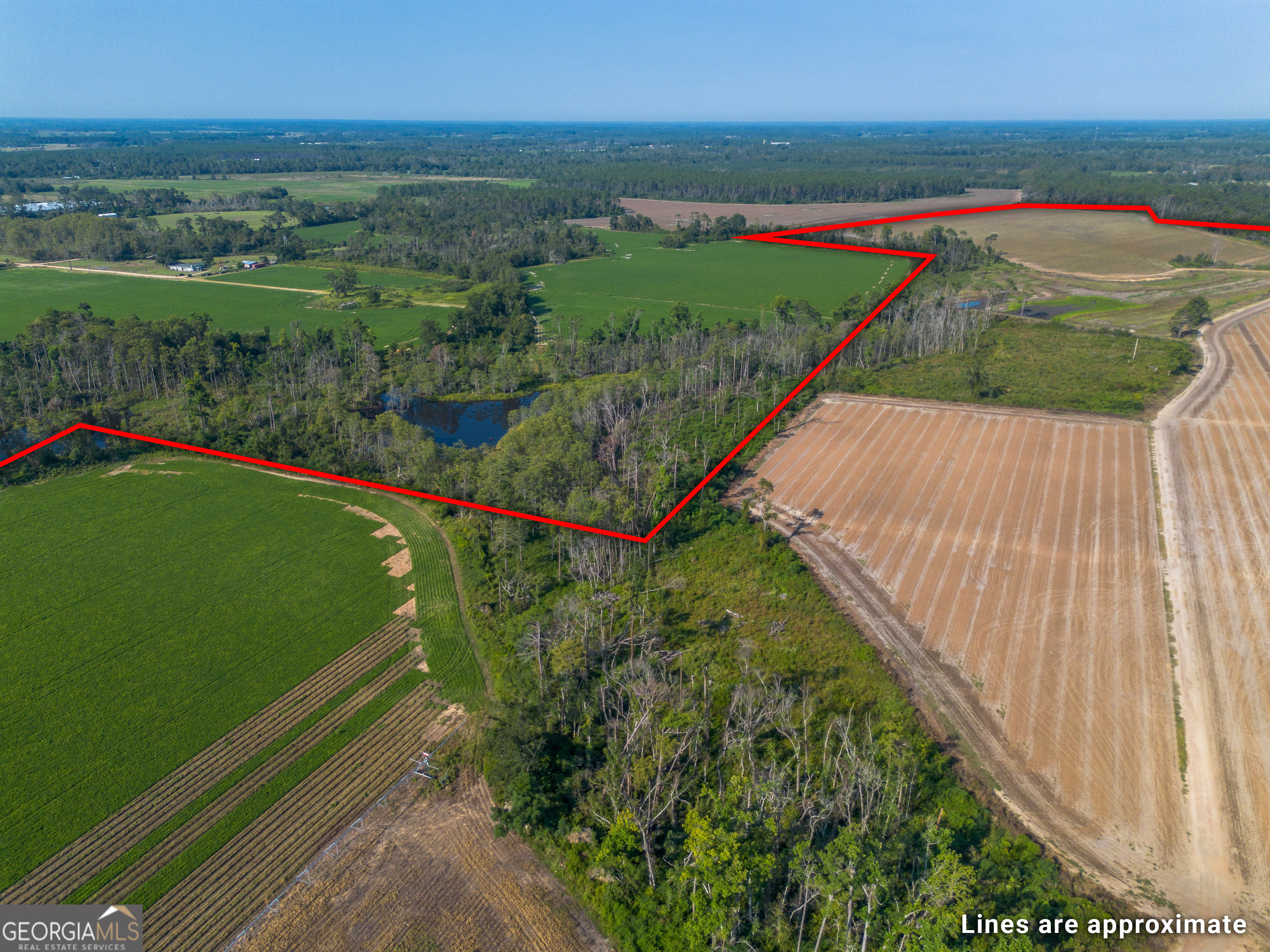 1671 Warren Carter Road Property Photo 20