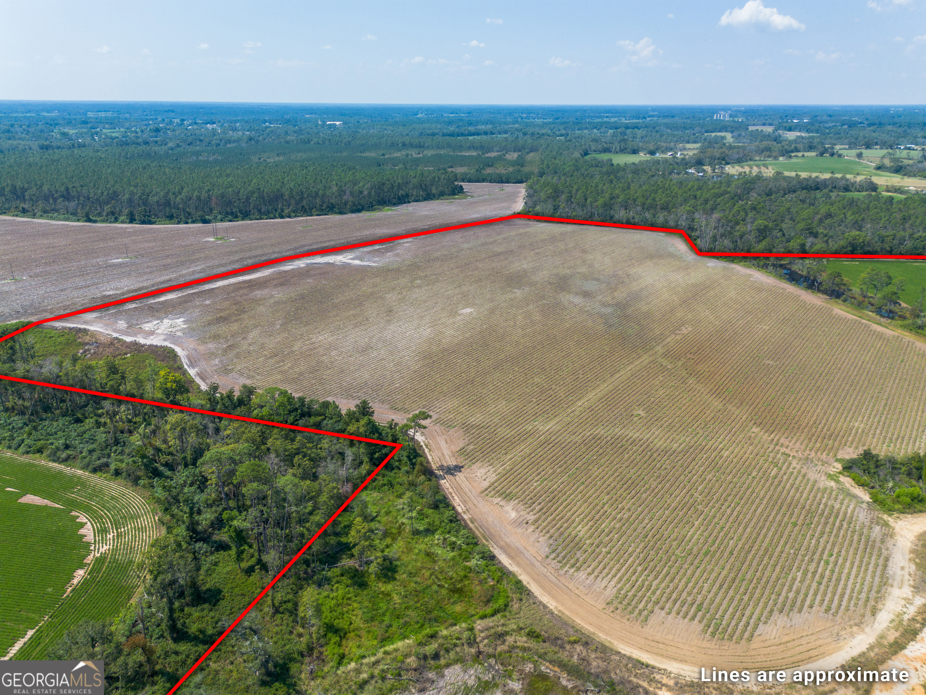 1671 Warren Carter Road Property Photo 21