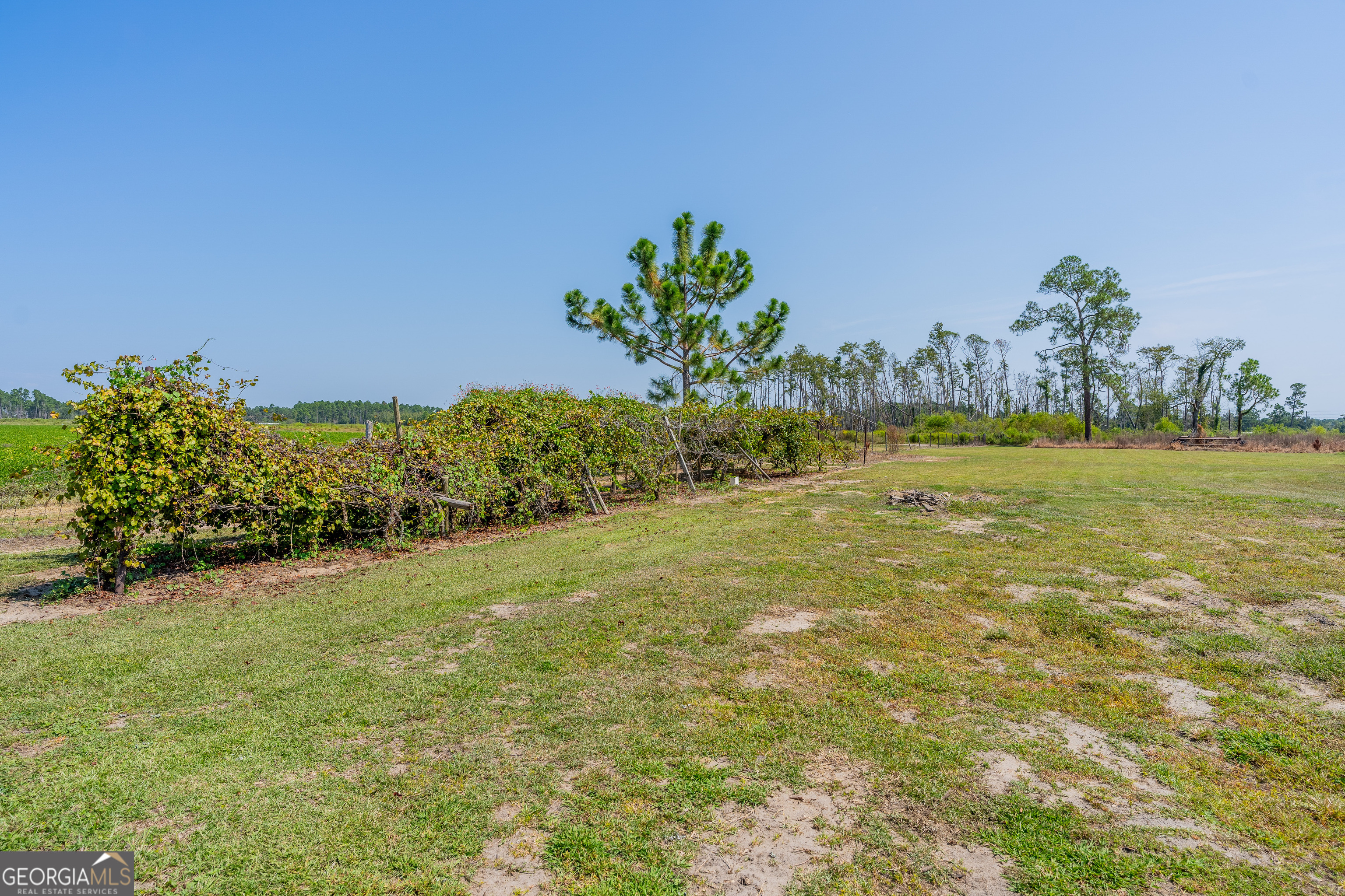 1671 Warren Carter Road Property Photo 25