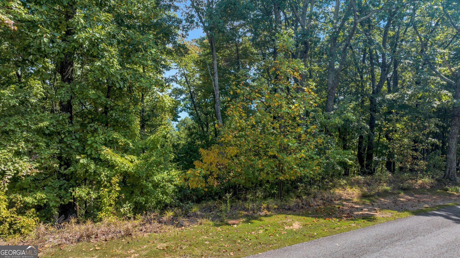 Lot 54 Mountainside Drive Property Photo 6