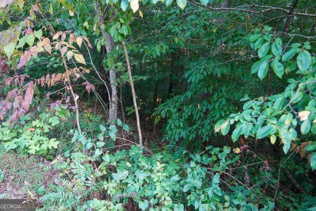 0 Bannockburn Property Photo 14