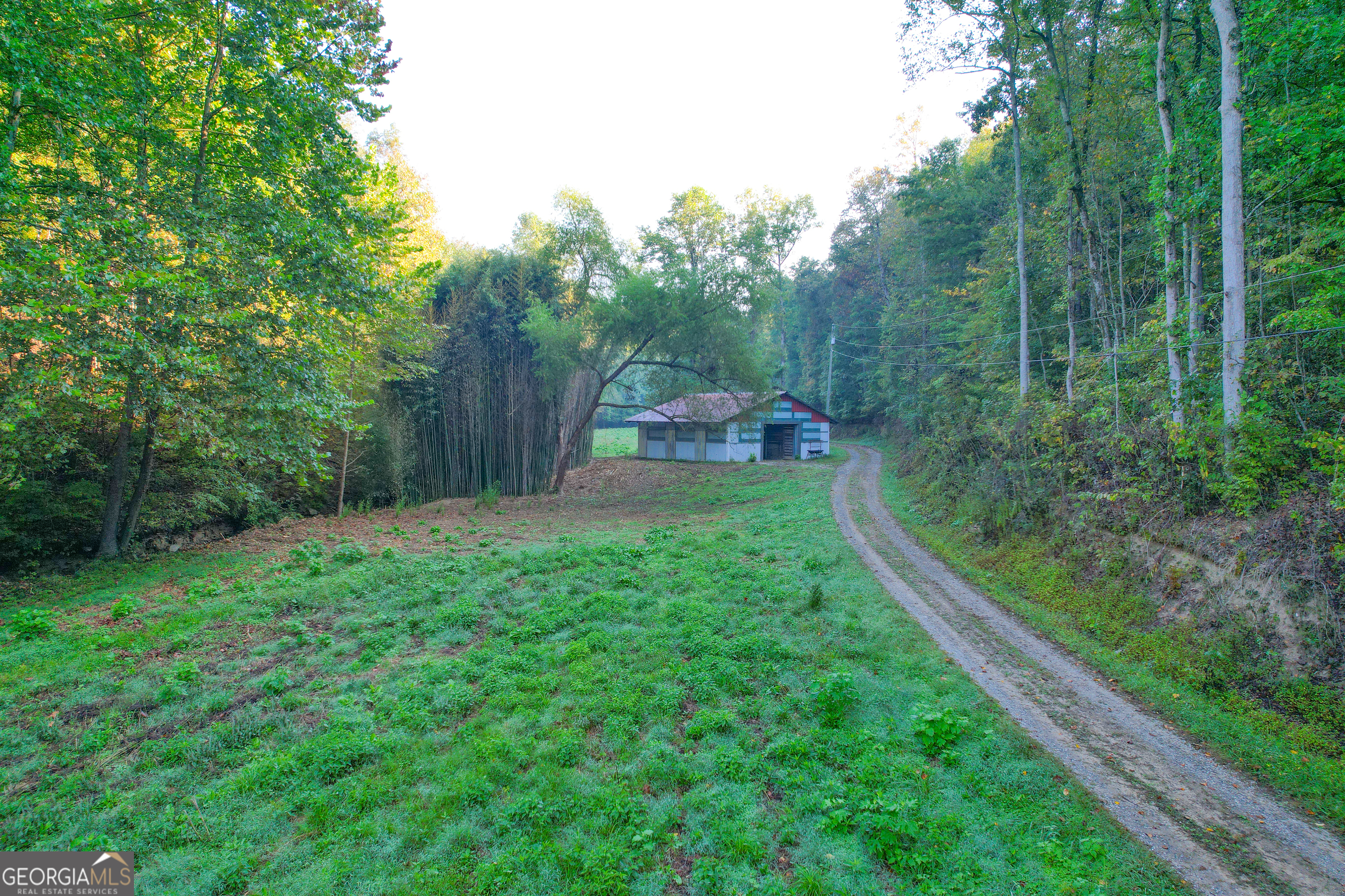 128 +/- Acres On Rambling Road Property Photo 5