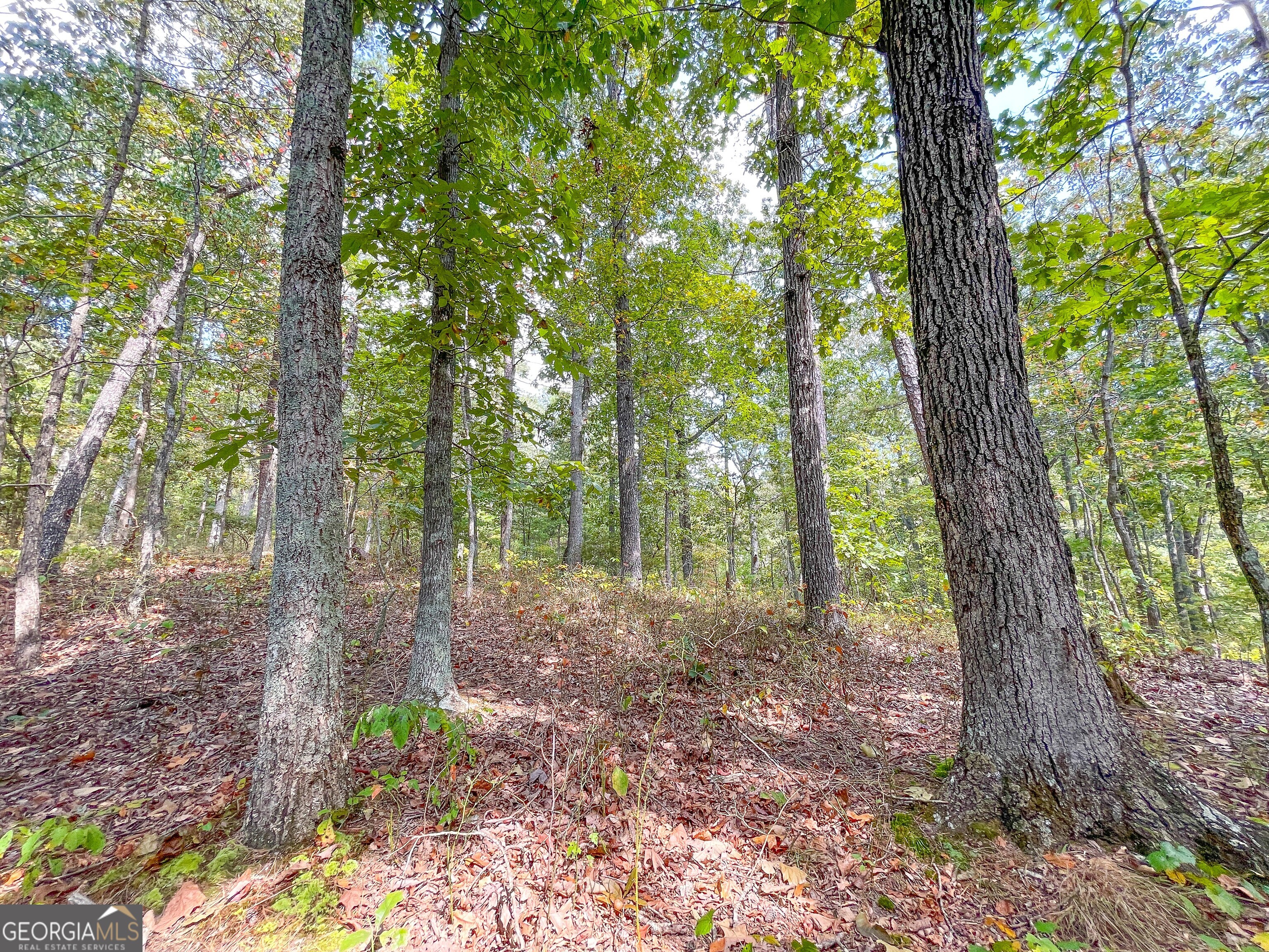 128 +/- Acres On Rambling Road Property Photo 8