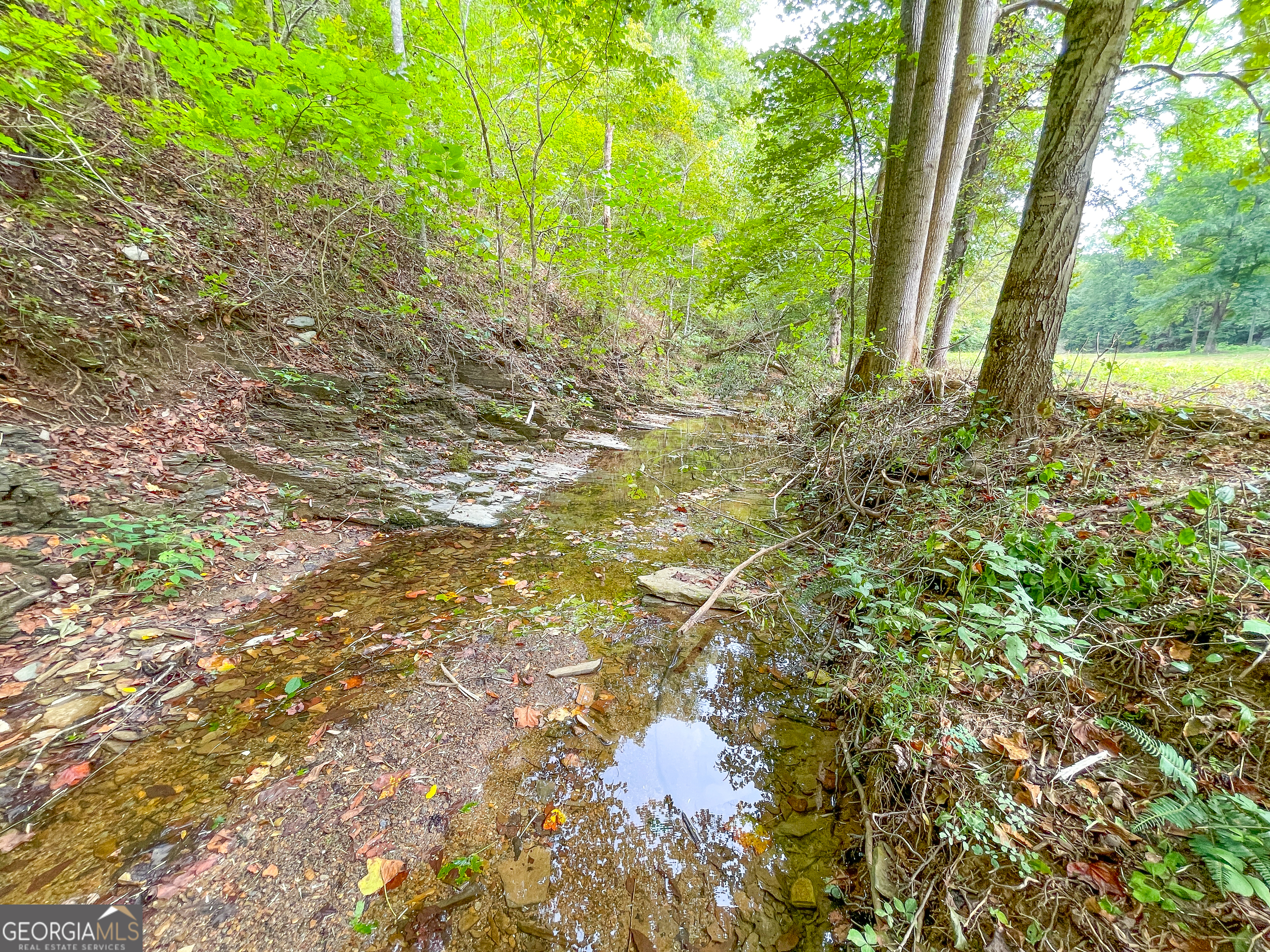 128 +/- Acres On Rambling Road Property Photo 9