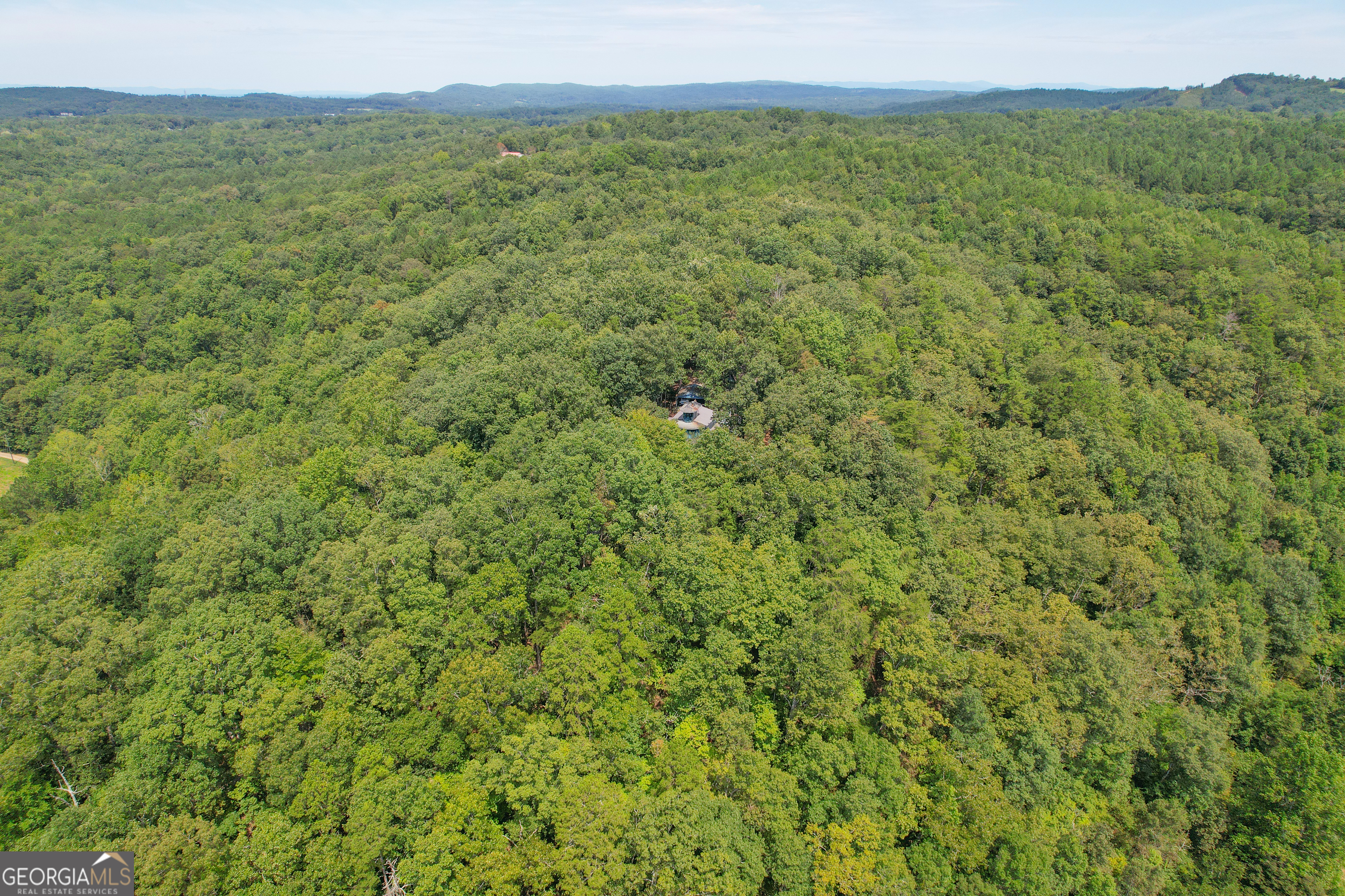 128 +/- Acres On Rambling Road Property Photo 10