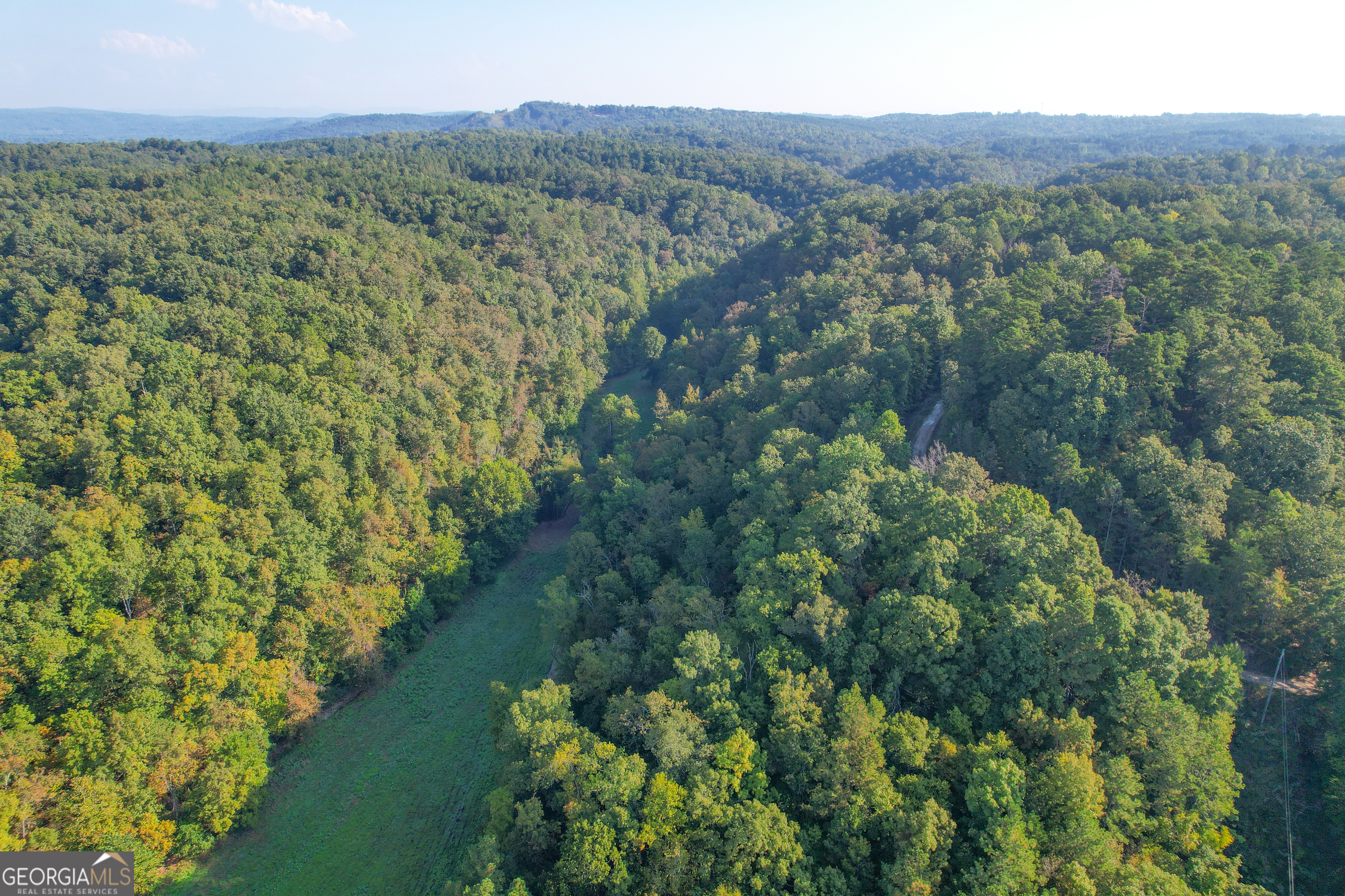 128 +/- Acres On Rambling Road Property Photo 28