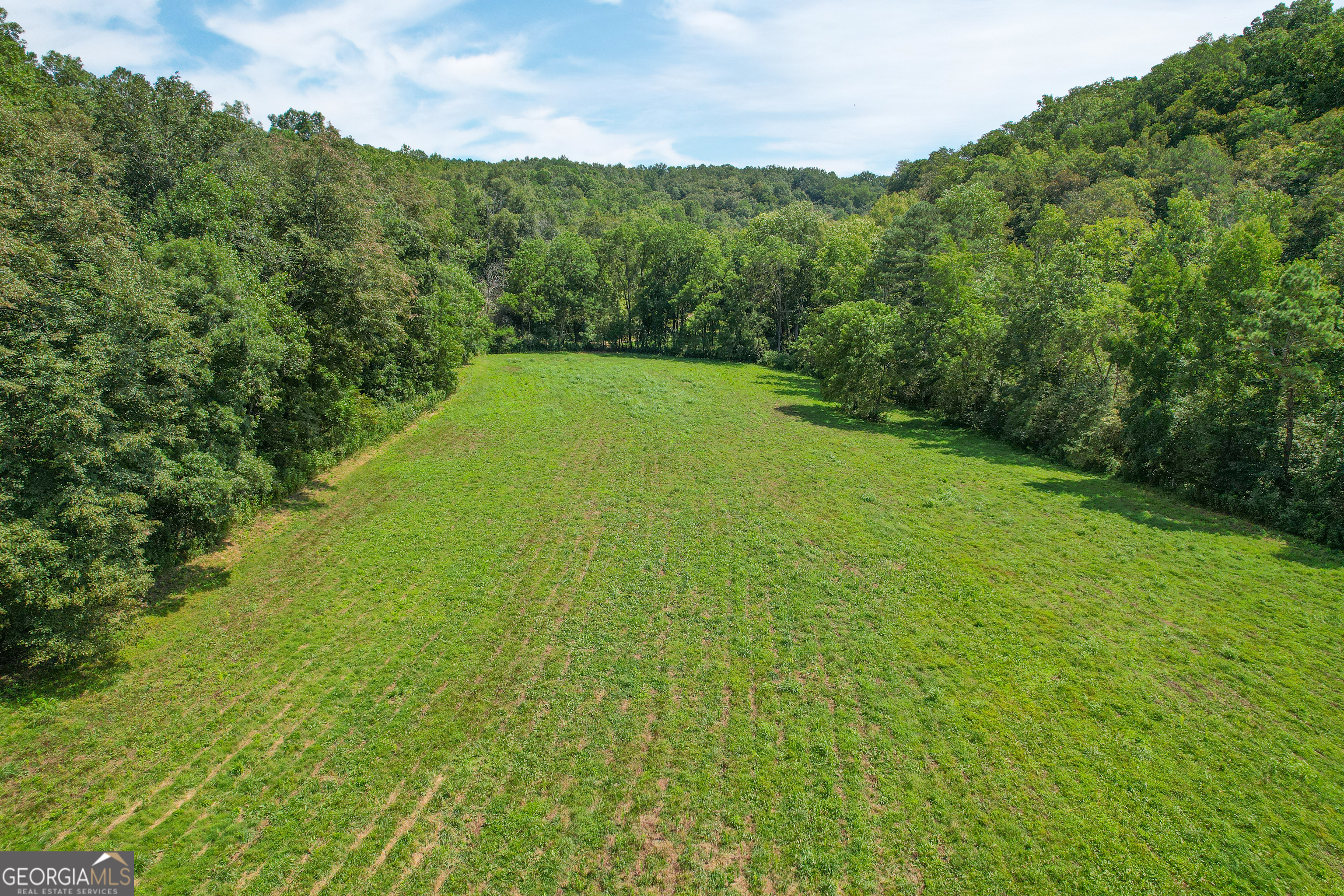 128 +/- Acres On Rambling Road Property Photo 30