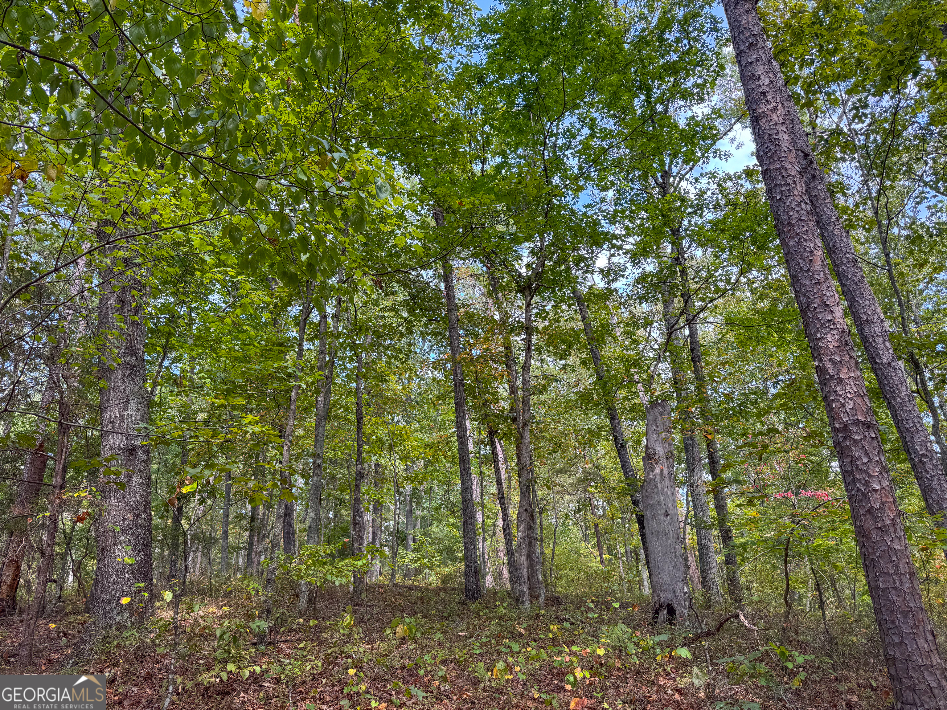 128 +/- Acres On Rambling Road Property Photo 31