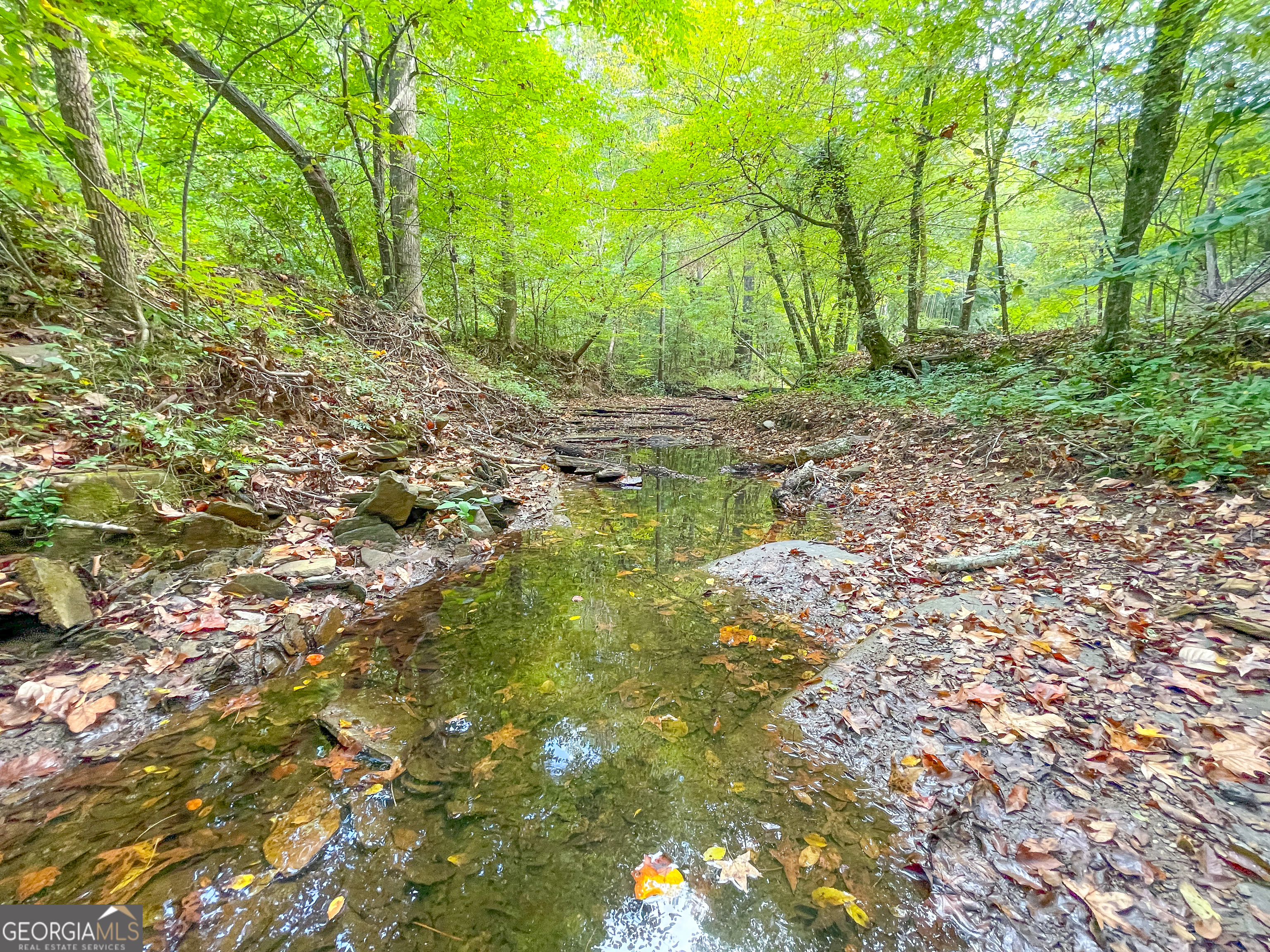 128 +/- Acres On Rambling Road Property Photo 32