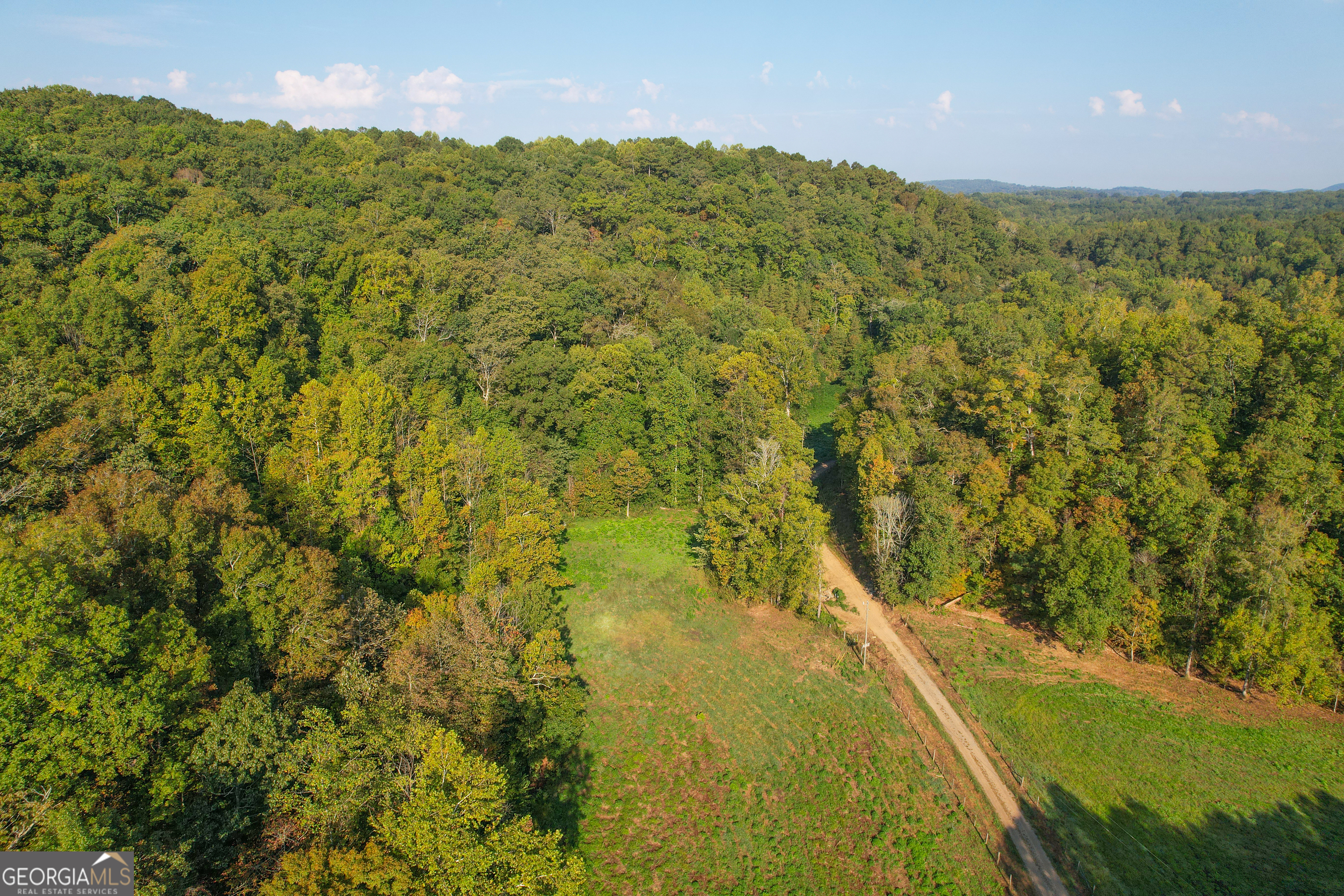 128 +/- Acres On Rambling Road Property Photo 35