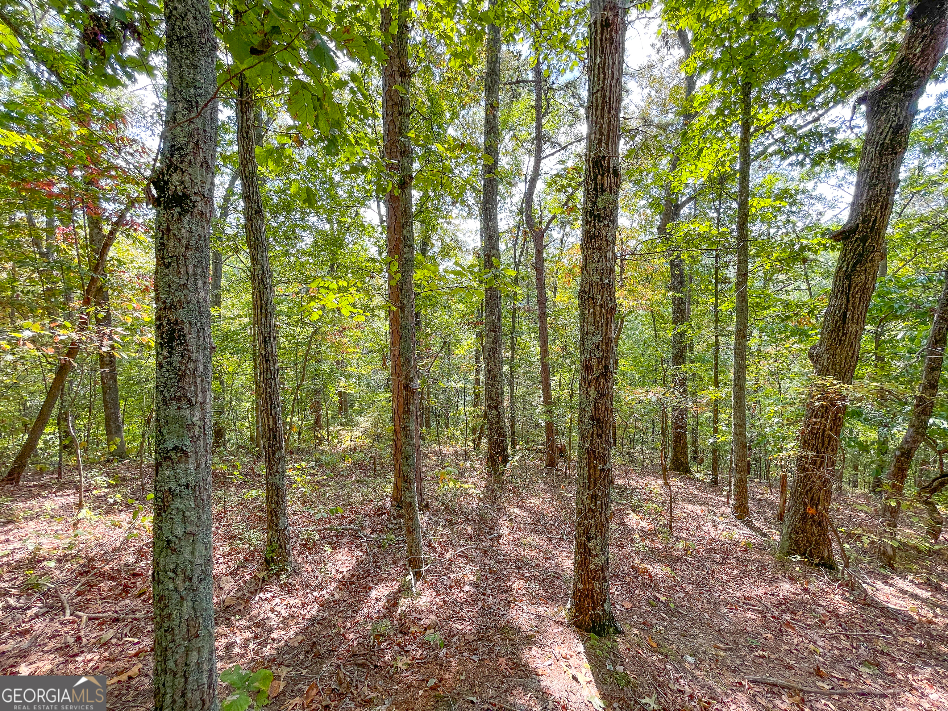 128 +/- Acres On Rambling Road Property Photo 36