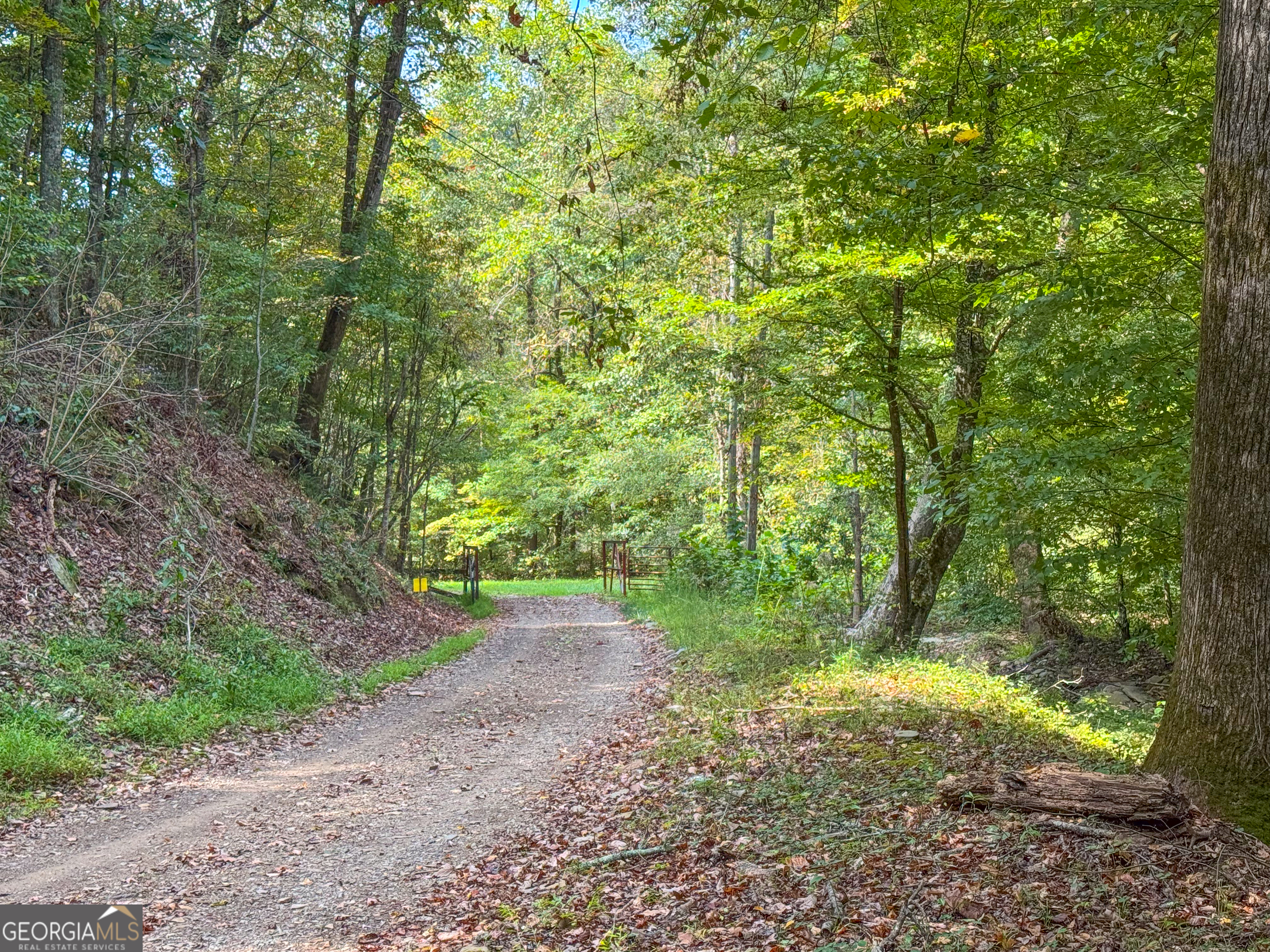 128 +/- Acres On Rambling Road Property Photo 37