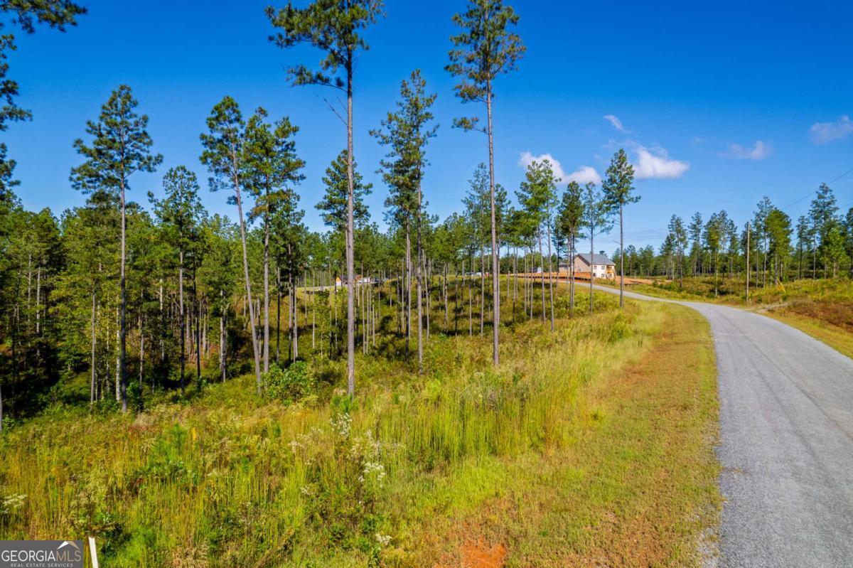 Lot 140 River Reach Lane Property Photo 2