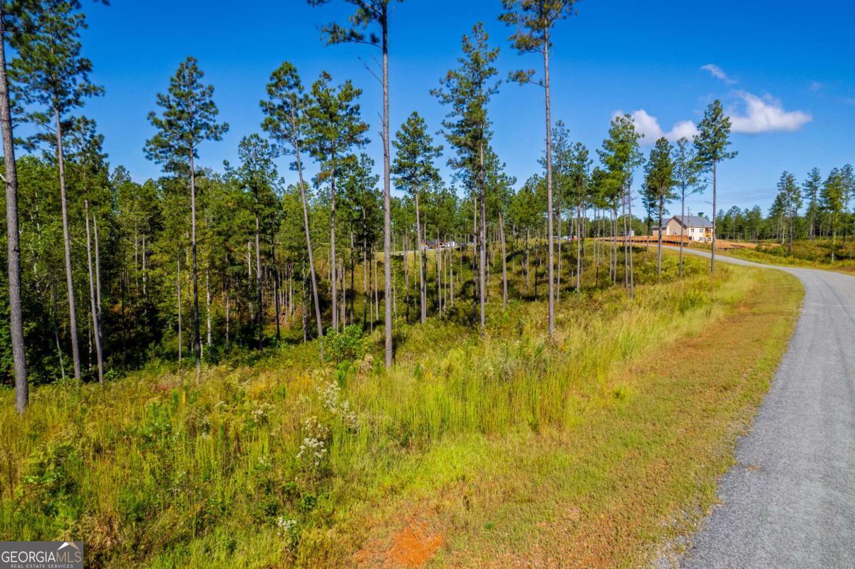 Lot 140 River Reach Lane Property Photo 3