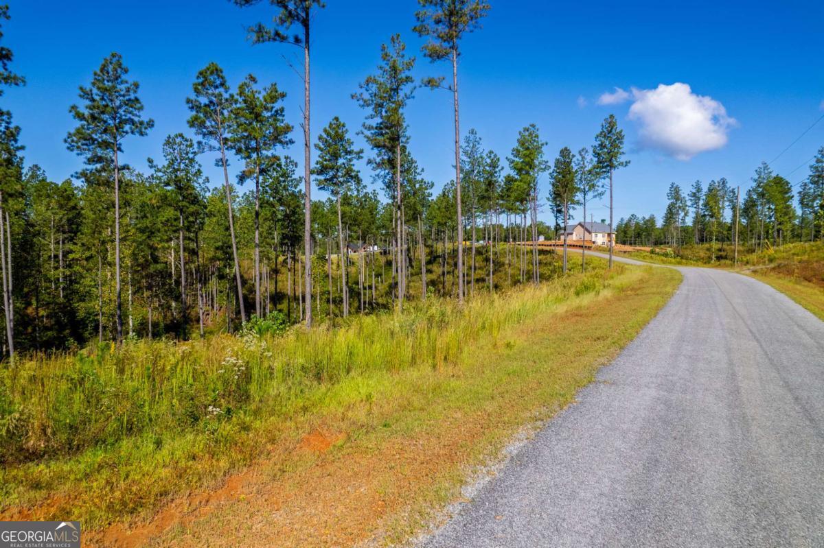 Lot 140 River Reach Lane Property Photo 4