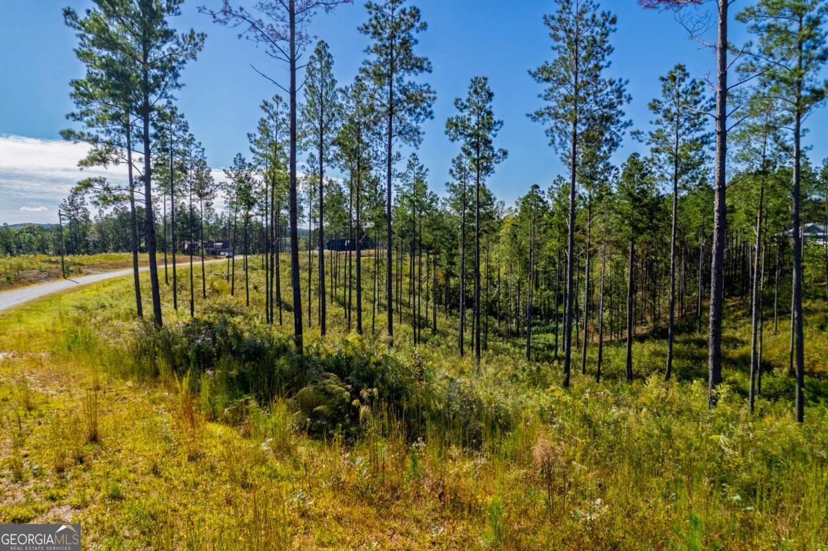 Lot 140 River Reach Lane Property Photo 5