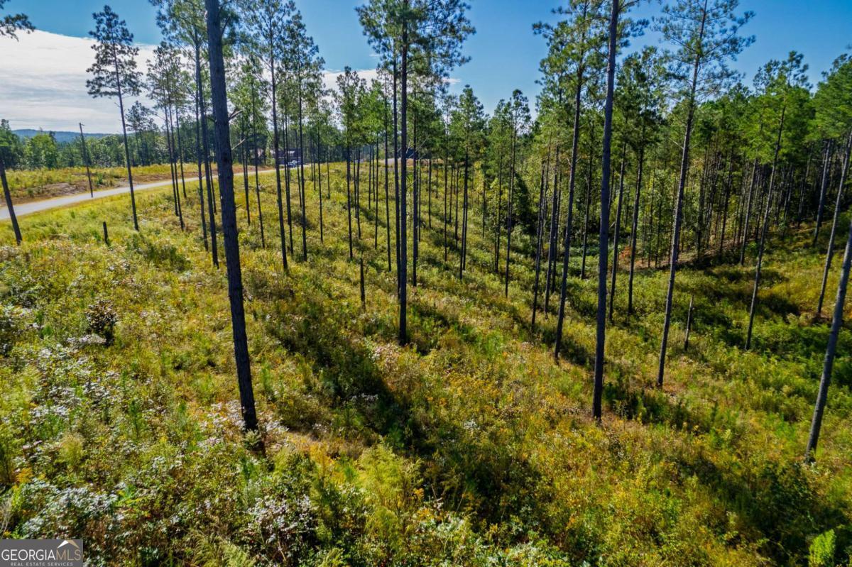 Lot 140 River Reach Lane Property Photo 6